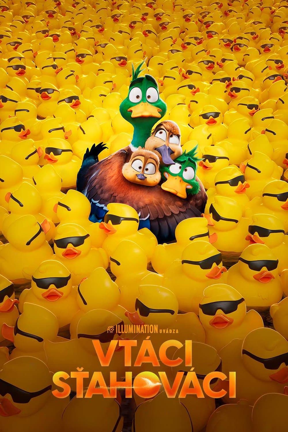 Vtáci sťahováci