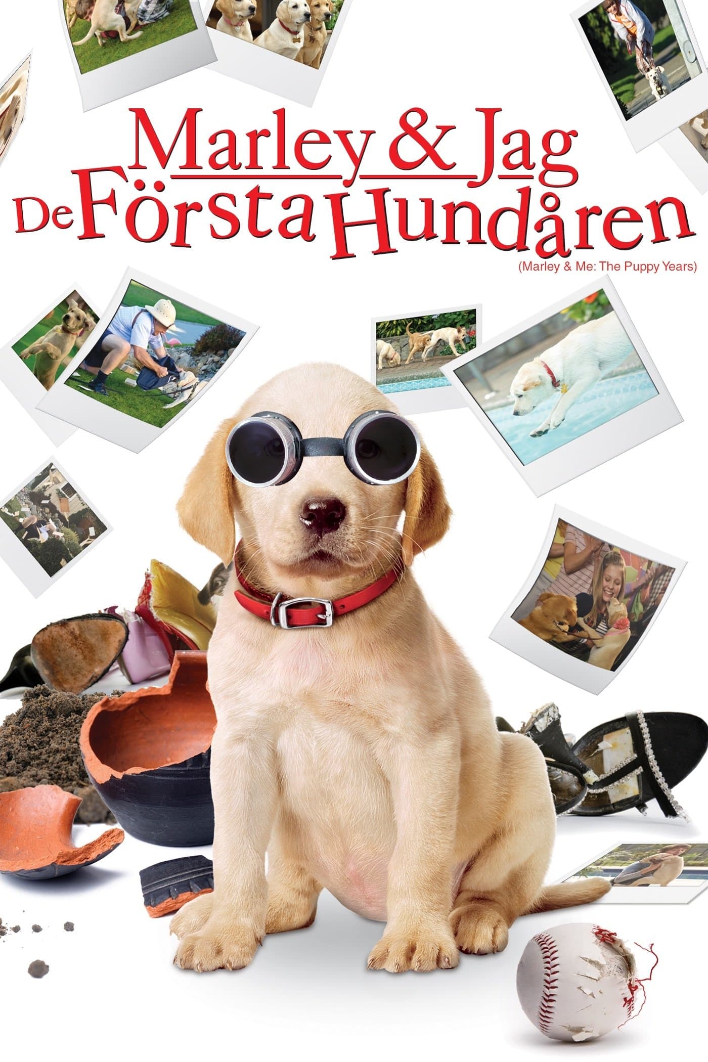 Marley & jag - De första hundåren