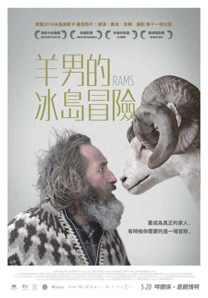 公羊