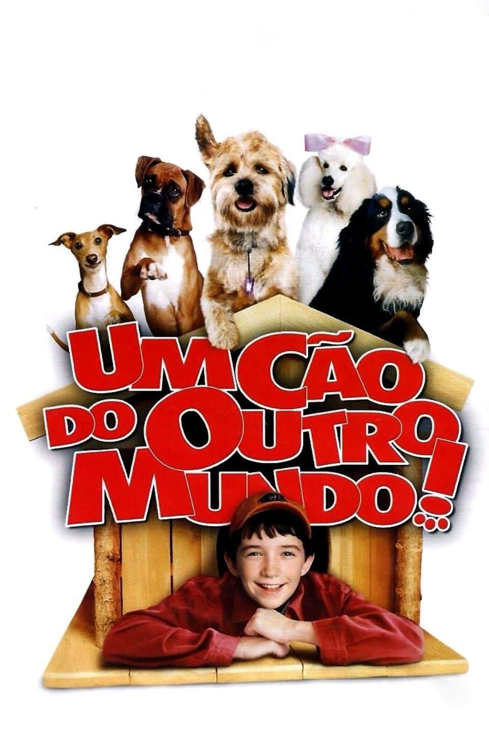 Good Boy!