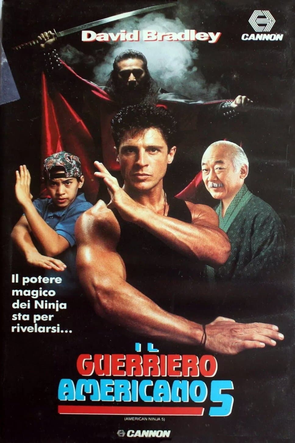 American Ninja 5
