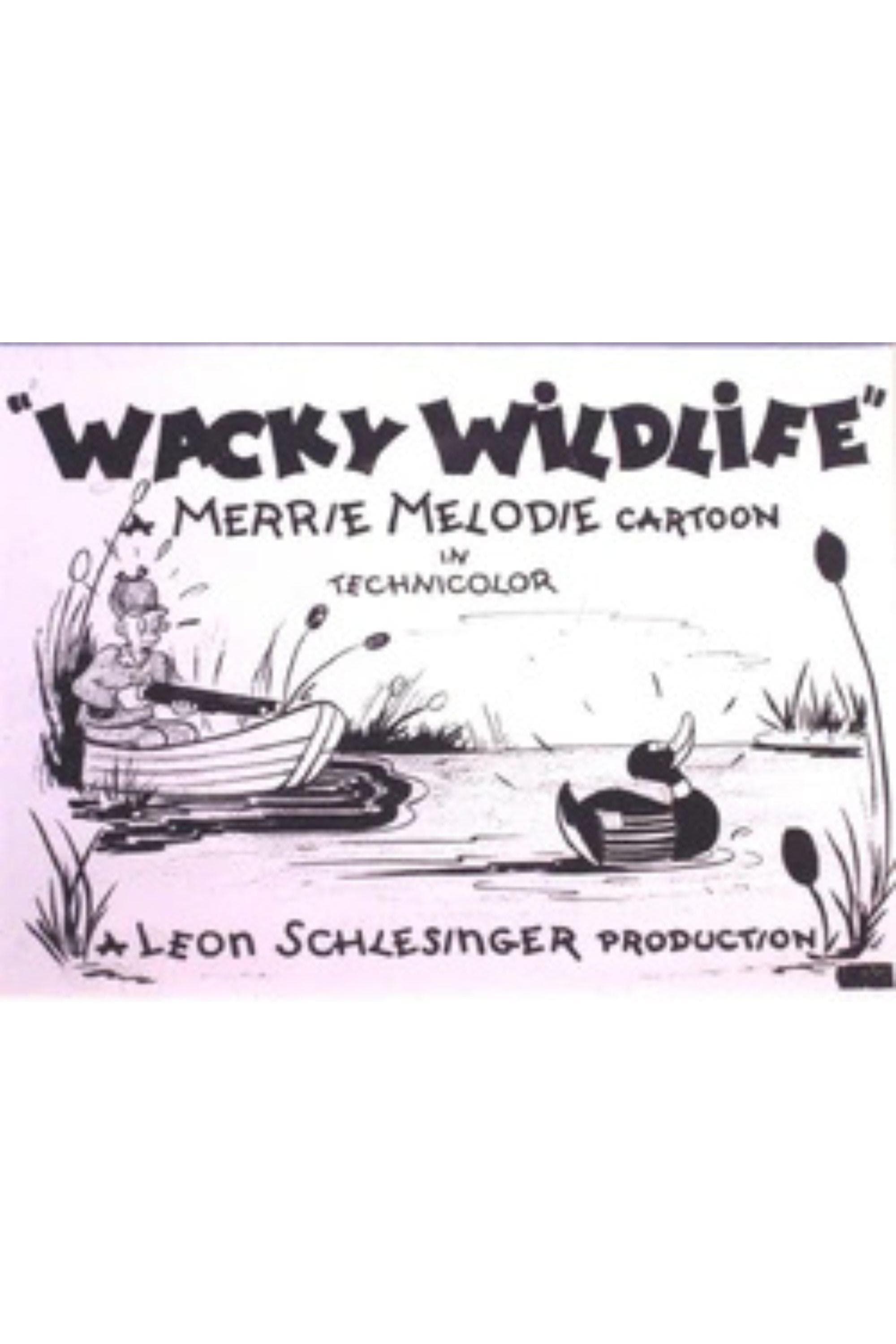 Wacky Wildlife