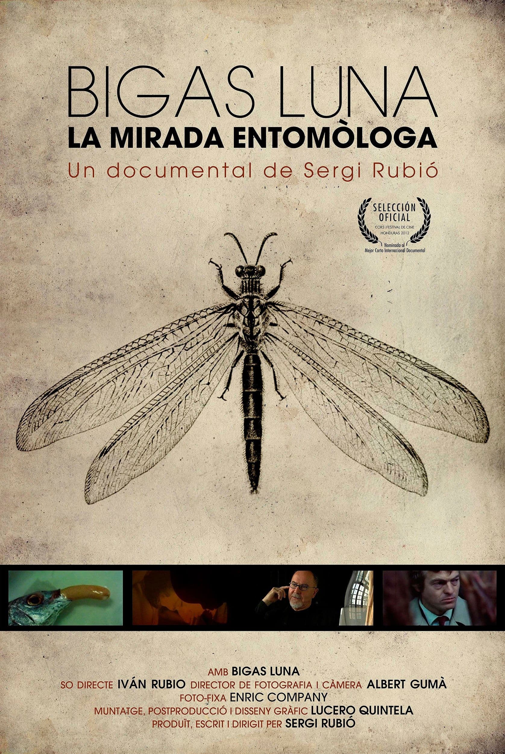 Bigas Luna: The entomologist gaze