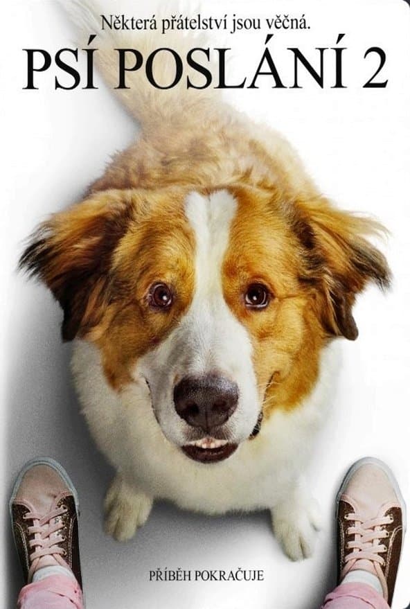 Psí poslání 2