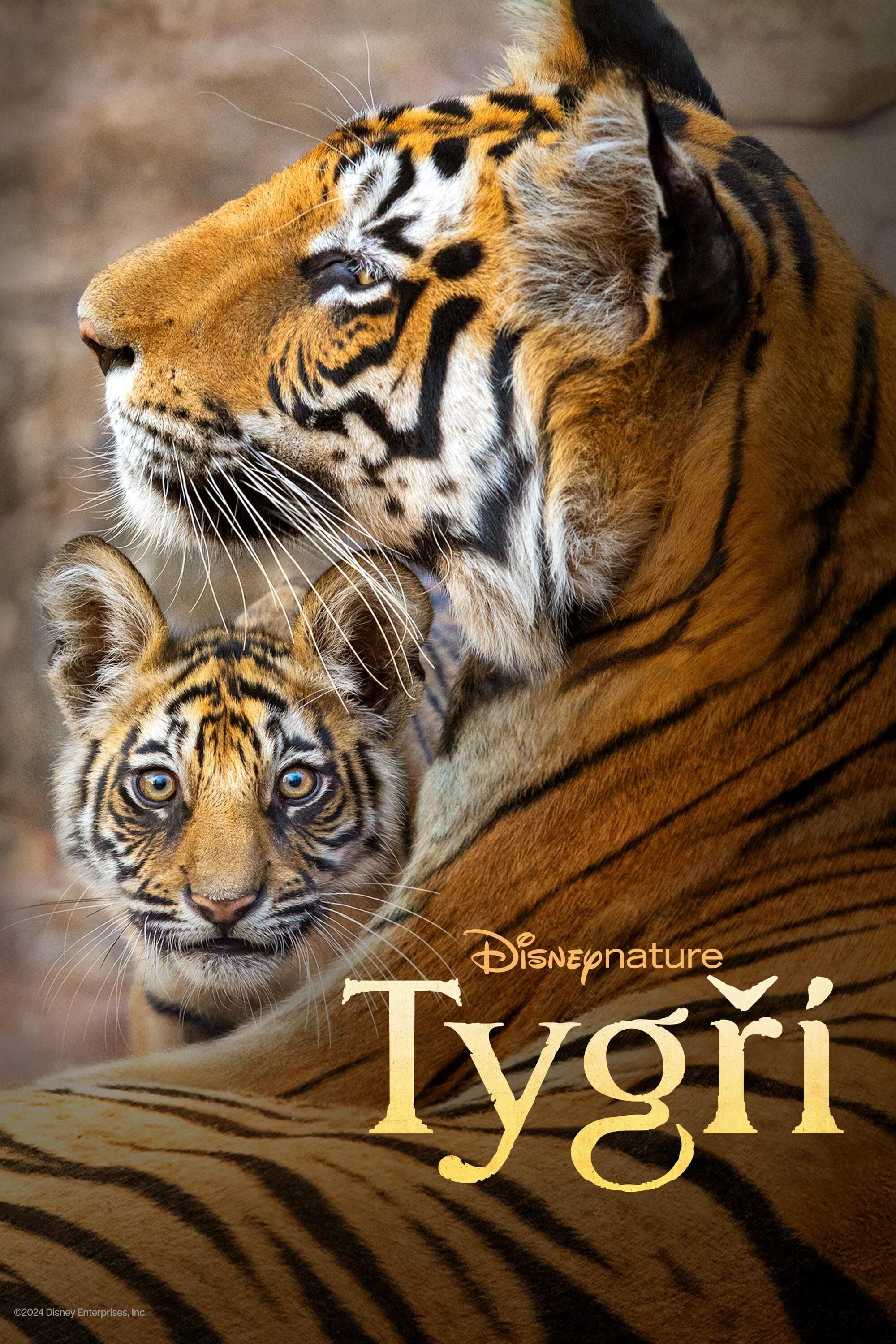 Tygři