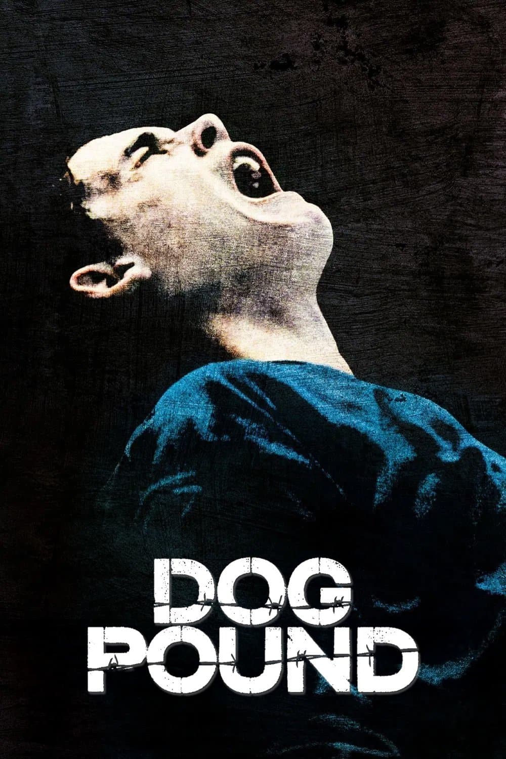 Dog Pound