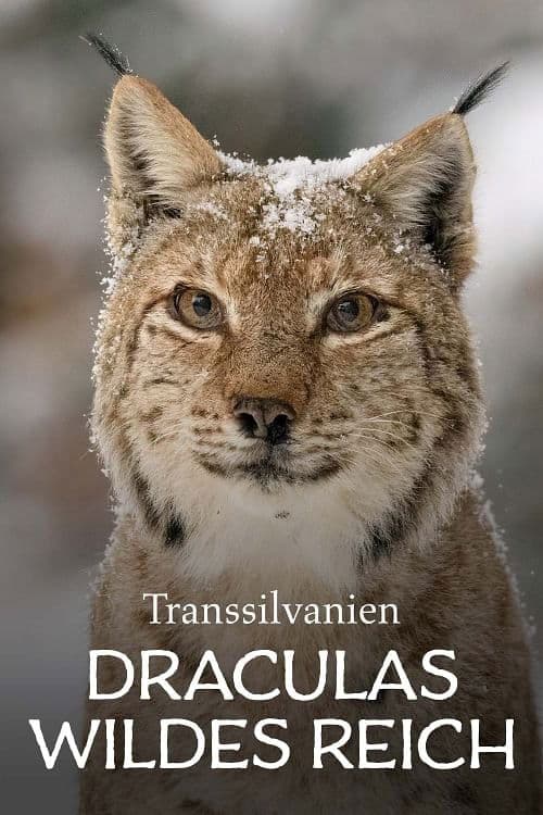 Wild Transylvania – Dracula's Hidden Kingdom