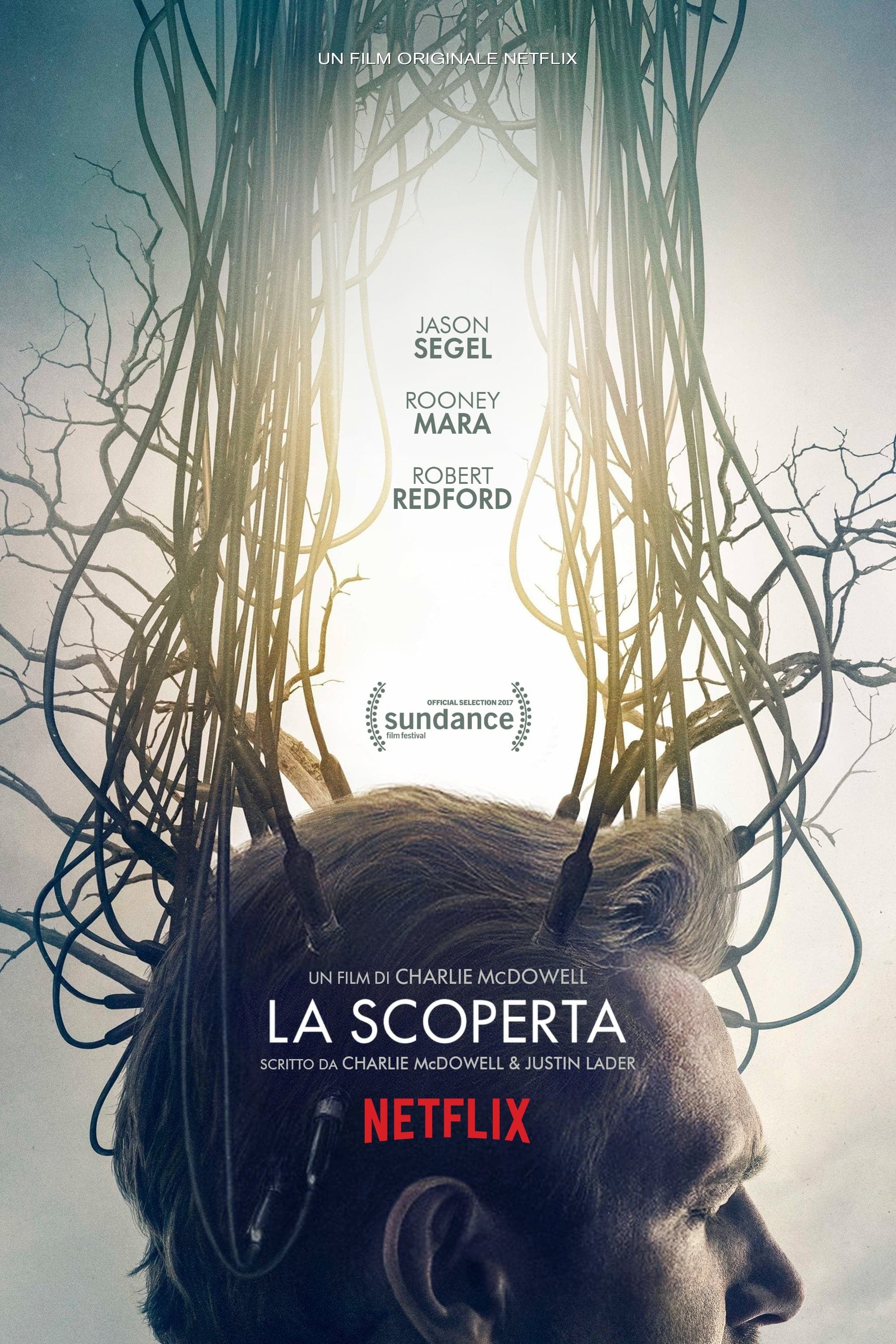 La scoperta