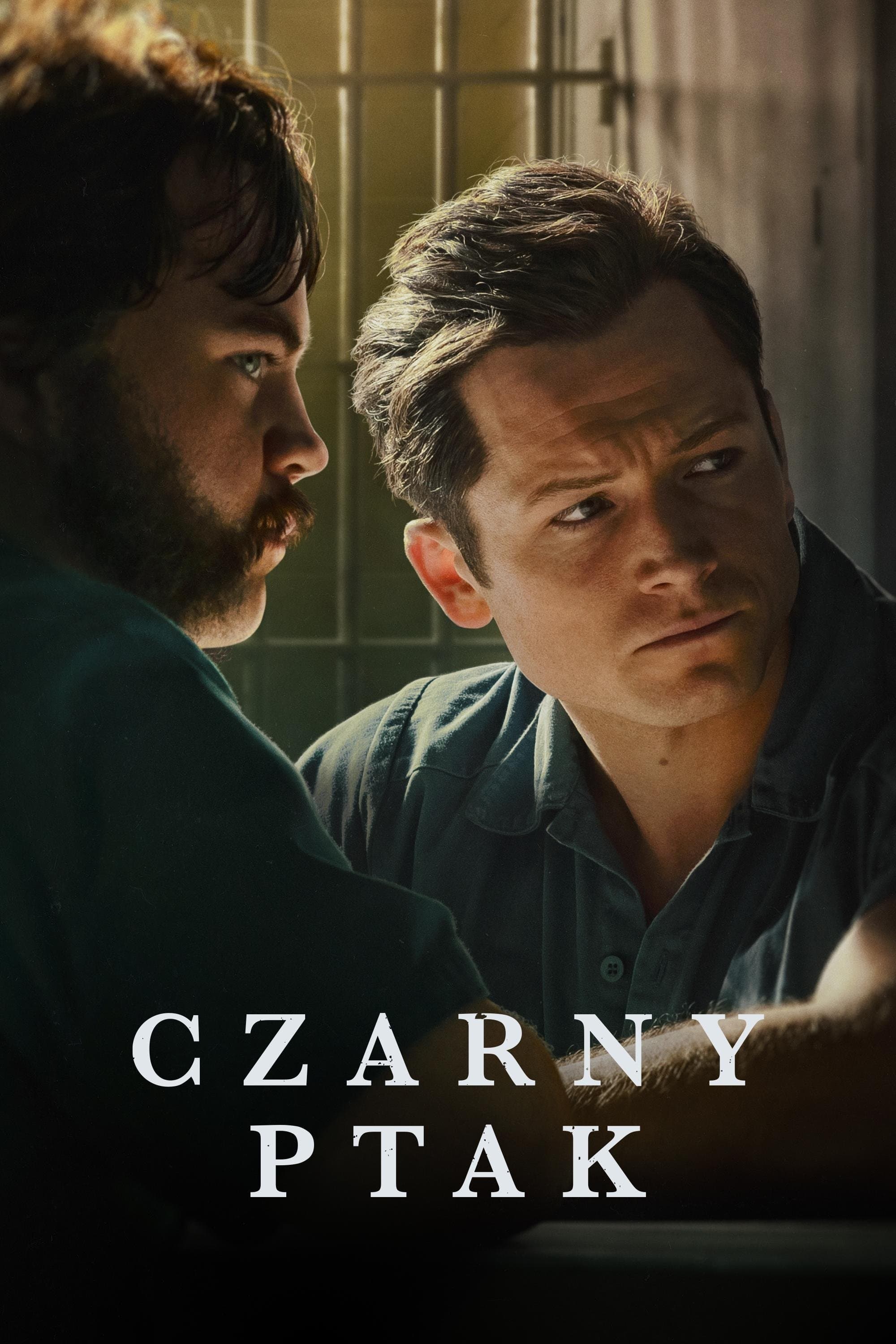 Czarny ptak
