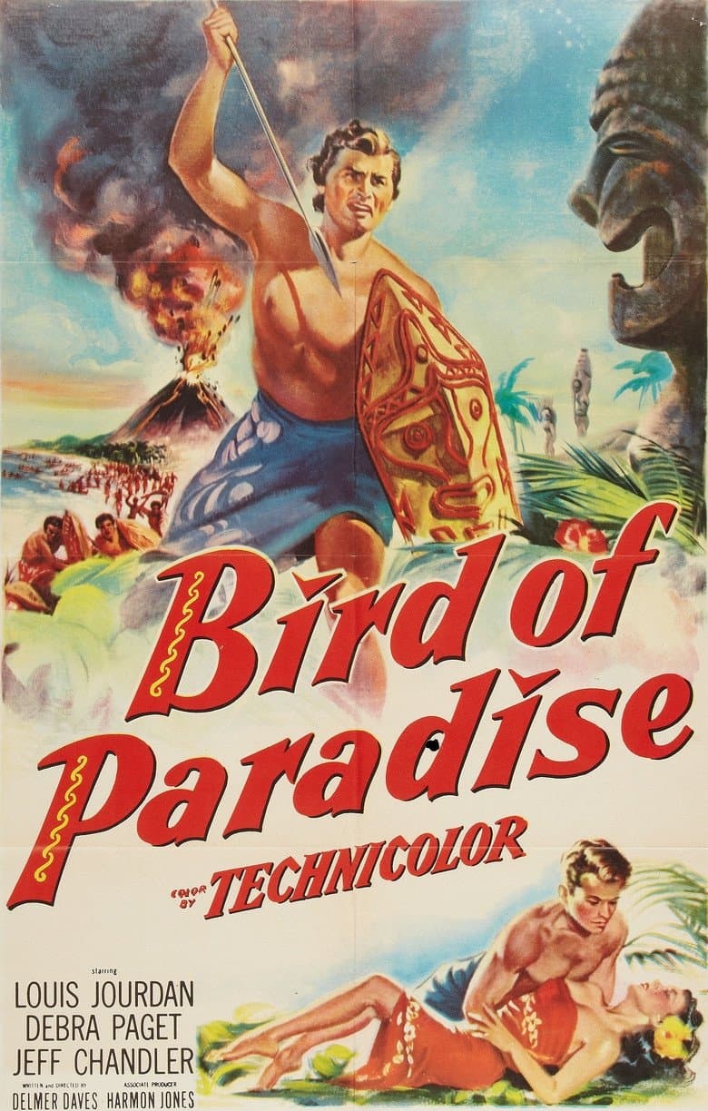 Bird of Paradise