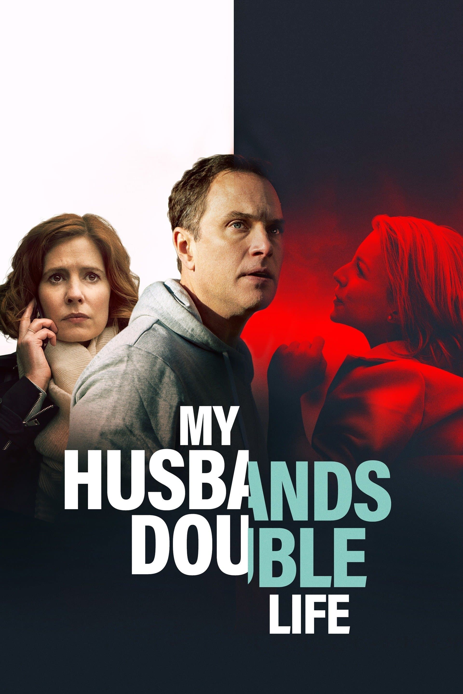 My Husband's Double Life