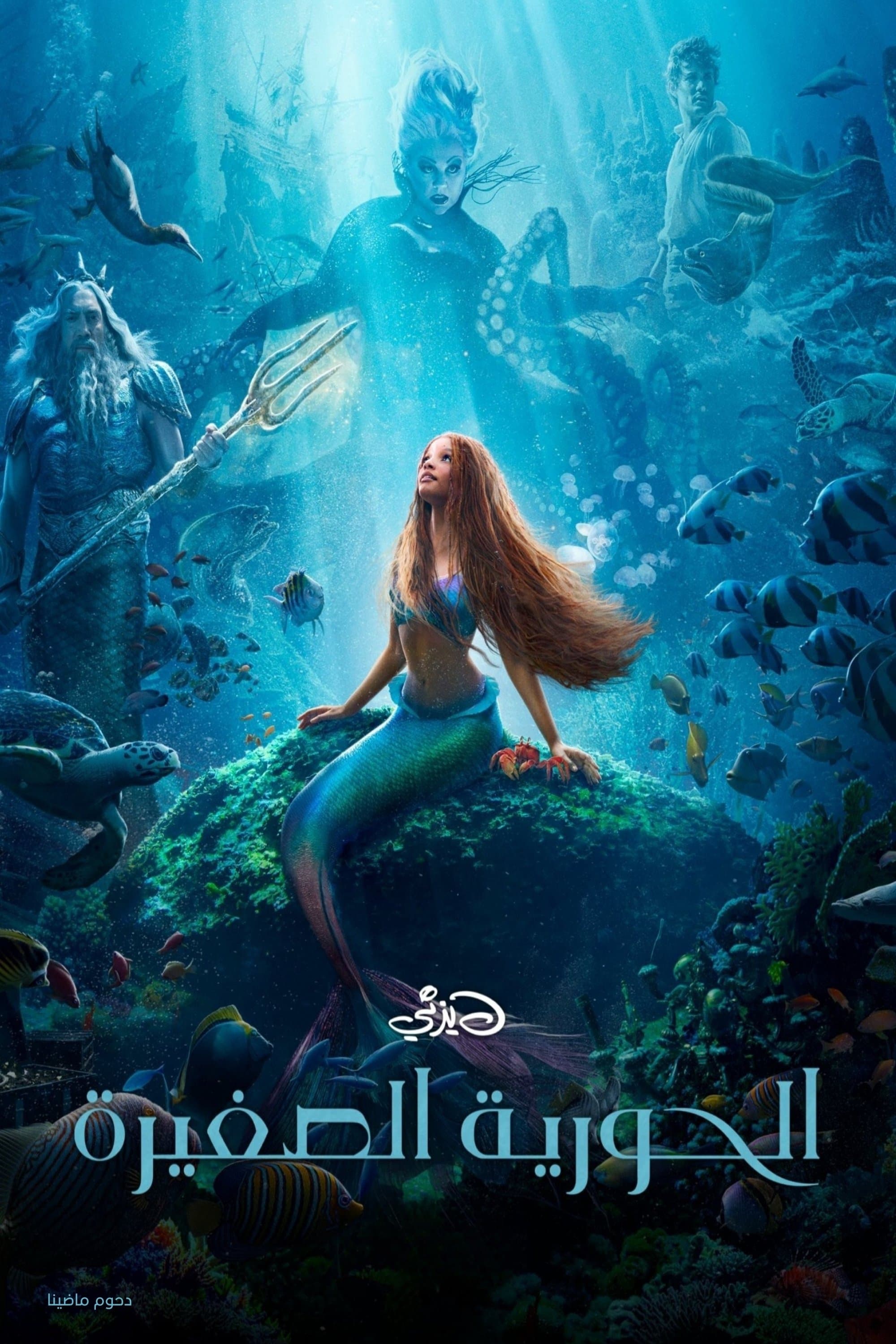 The Little Mermaid