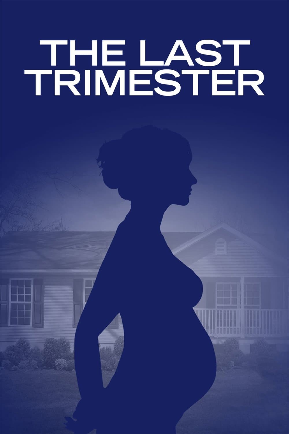 The Last Trimester