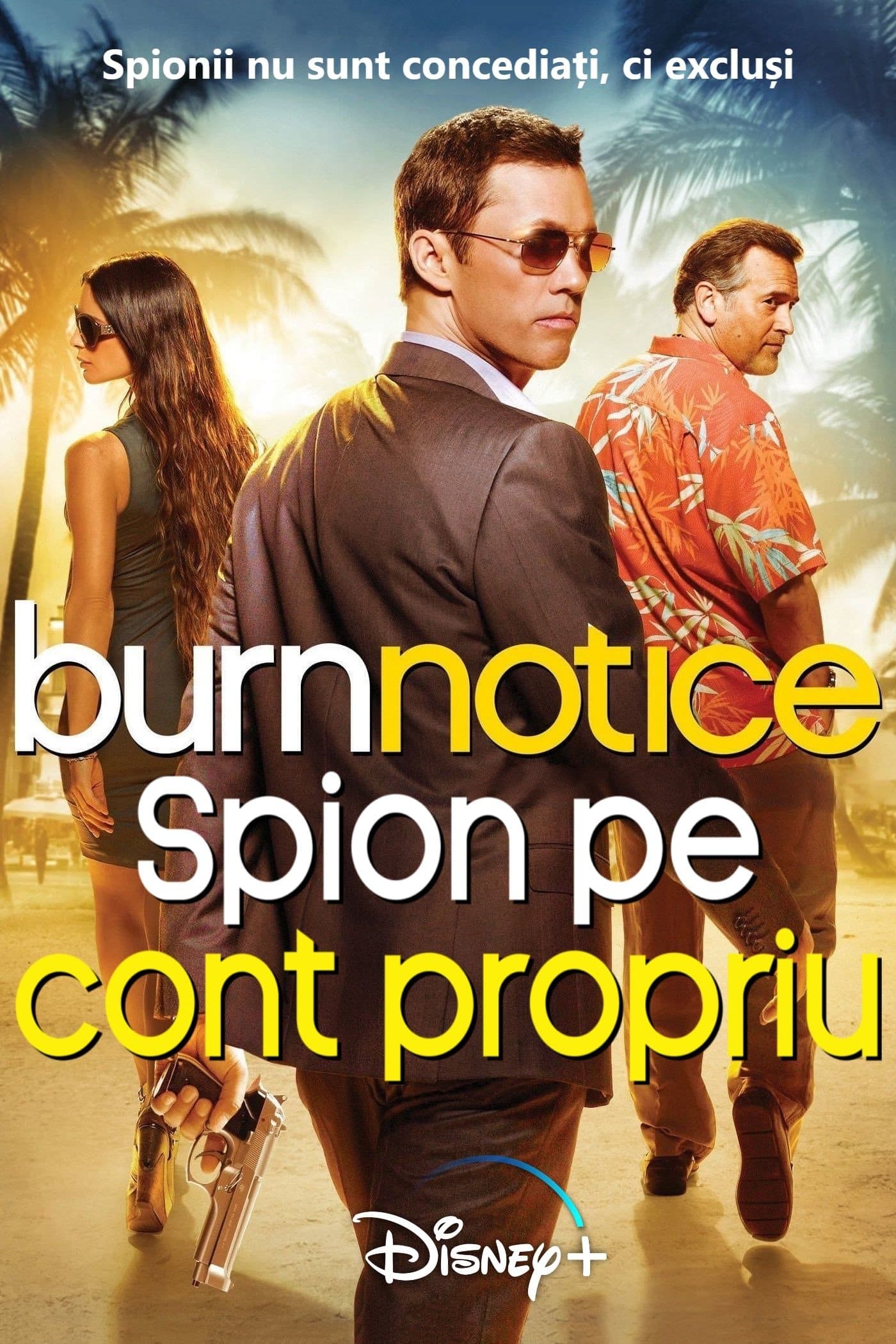 Spion pe cont propriu