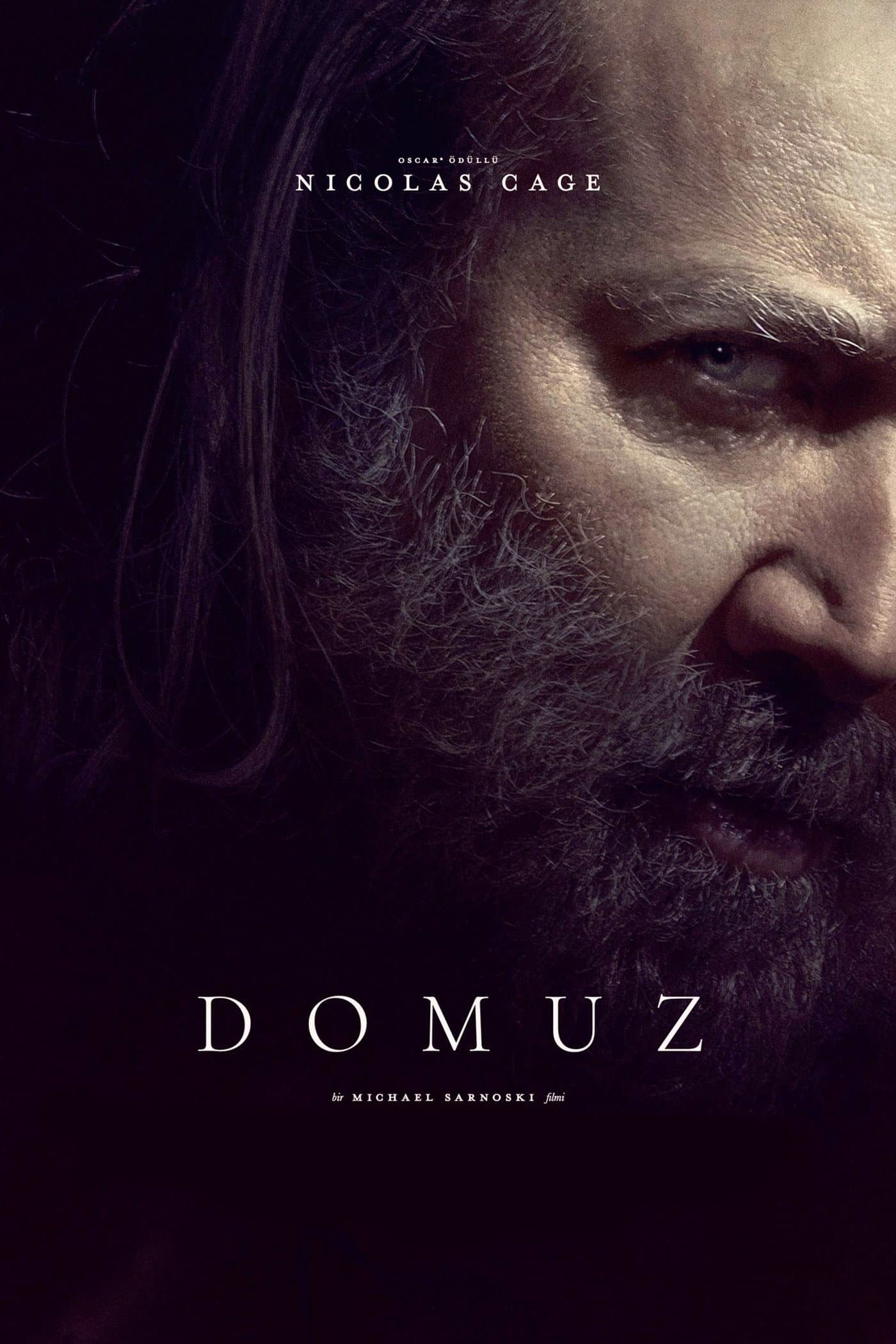 Domuz