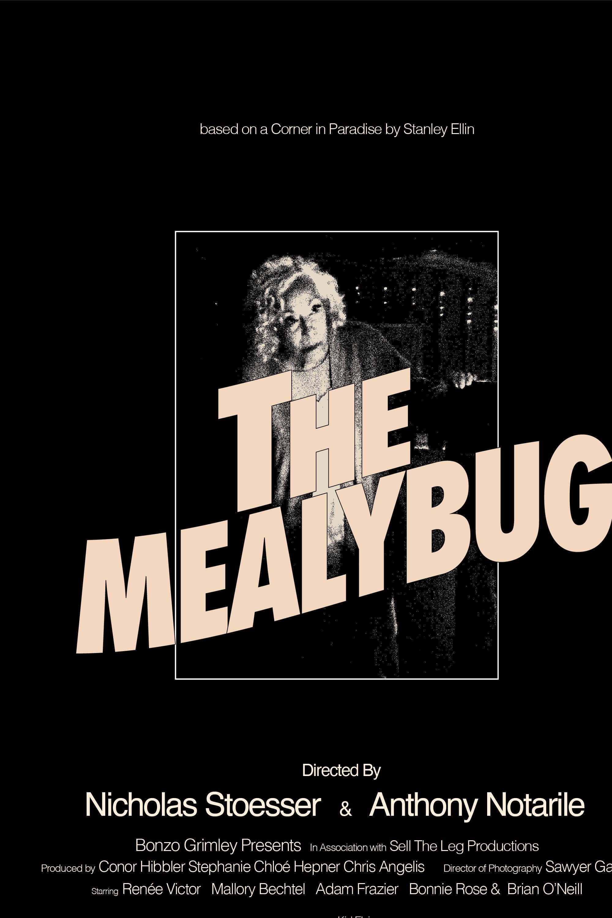 The Mealybug