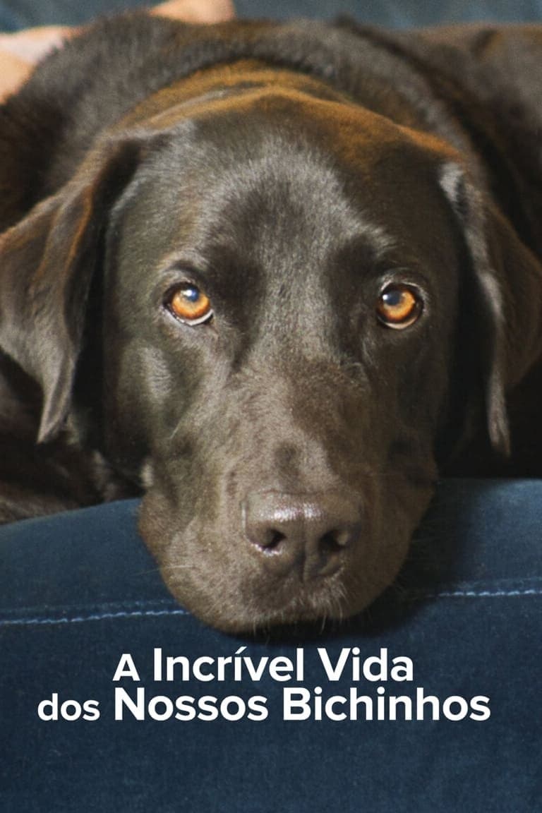The Secret Life of Our Pets