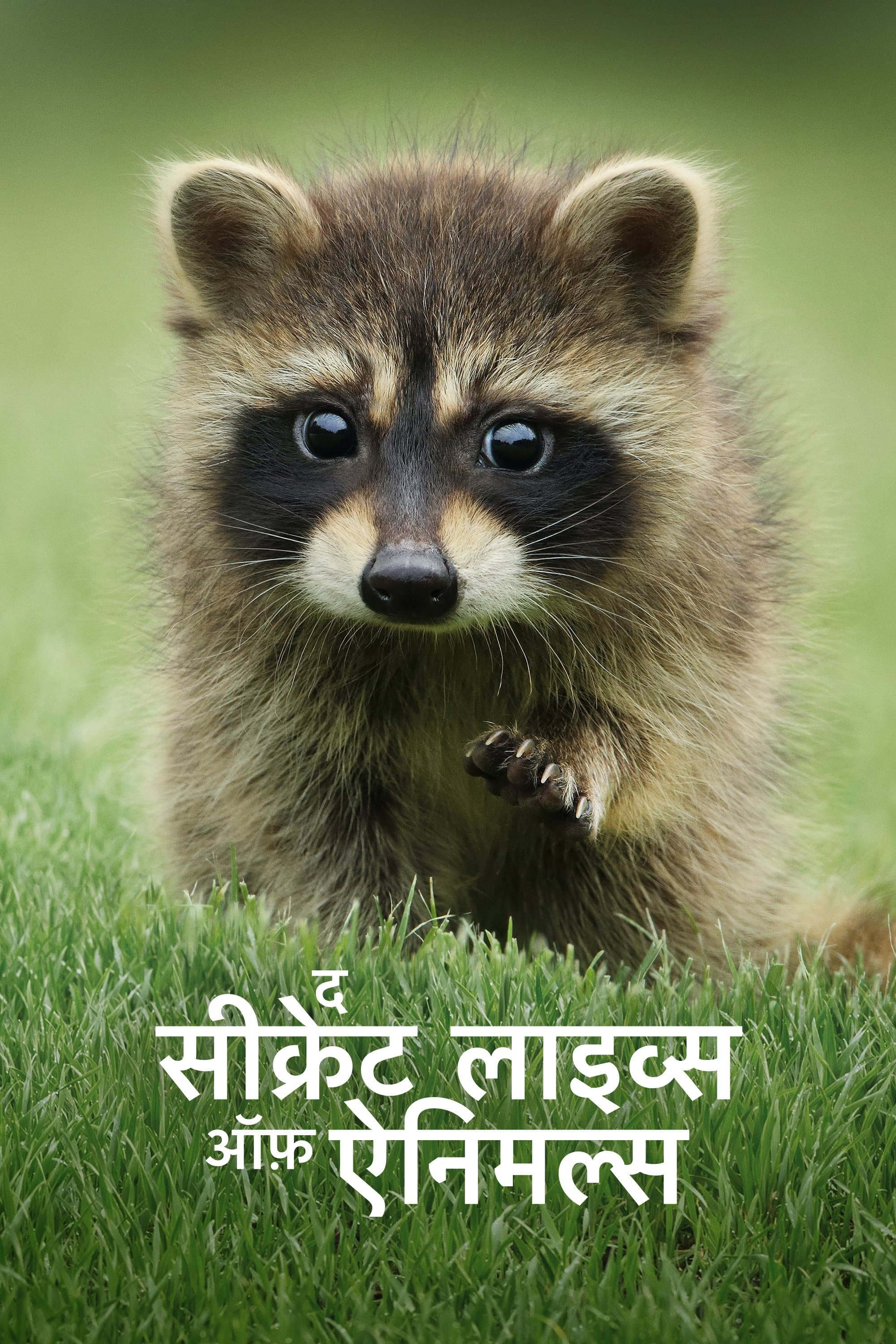 द सीक्रेट लाइव्स ऑफ़ ऐनिमल्स