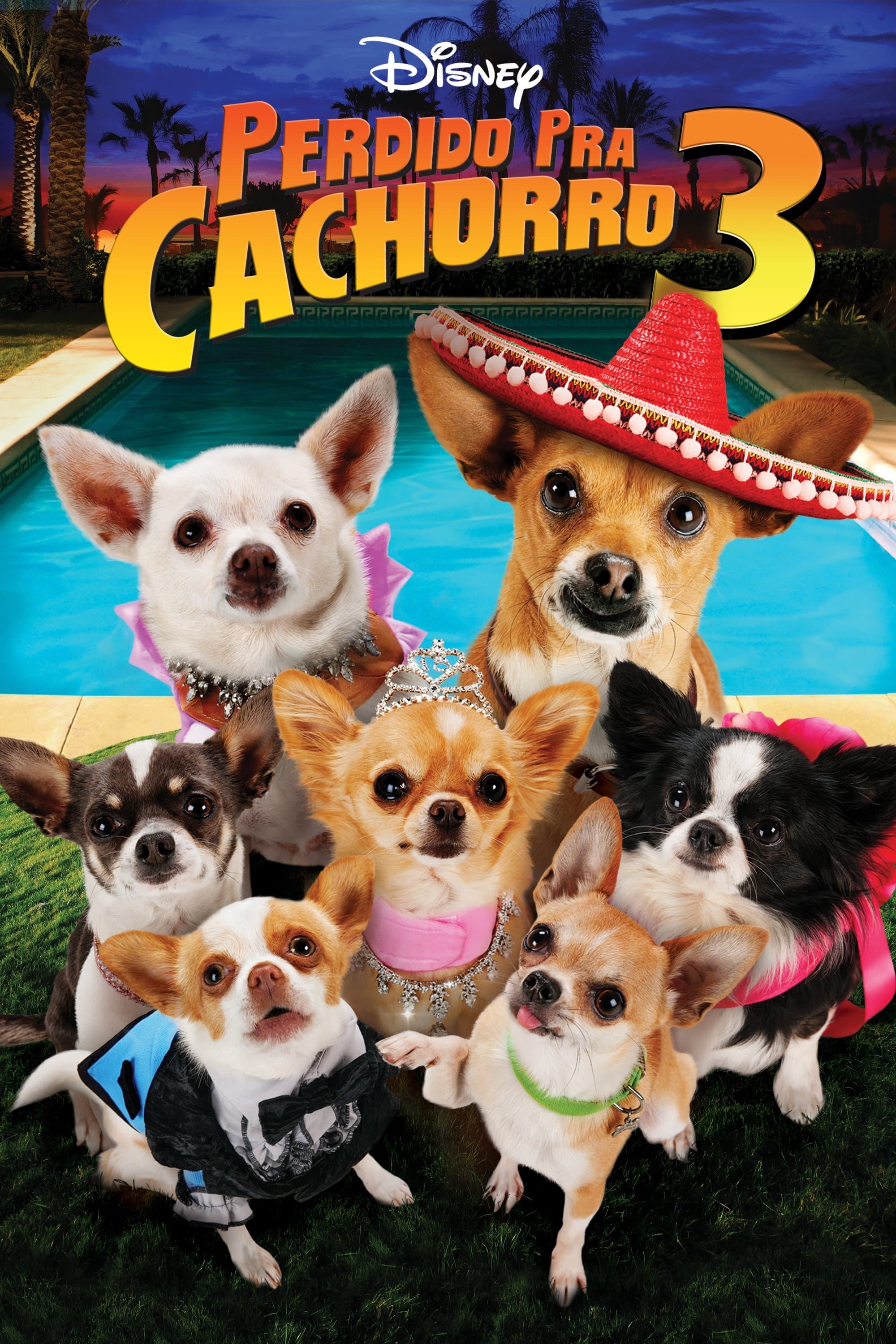 Beverly Hills Chihuahua 3