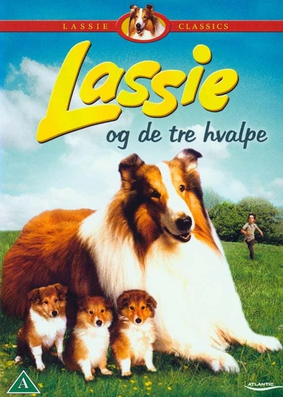 Lassie: The miracle