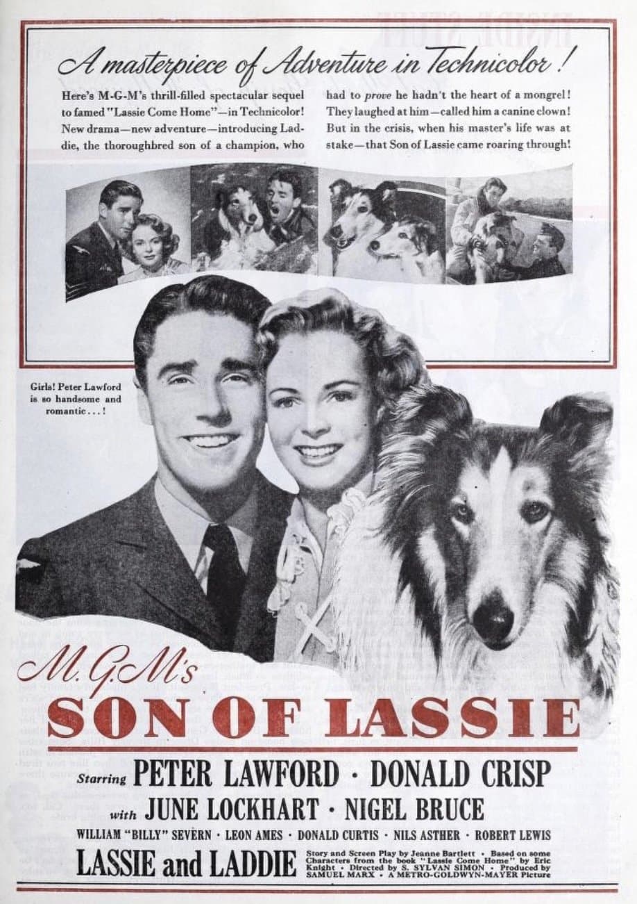 Son of Lassie