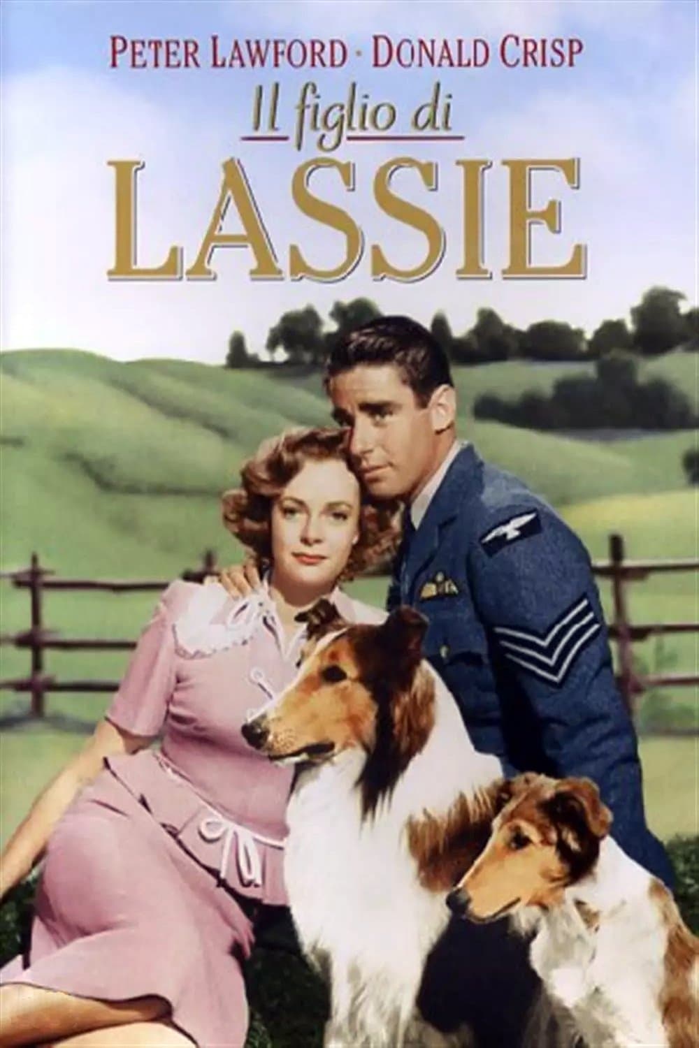 Il figlio di Lassie