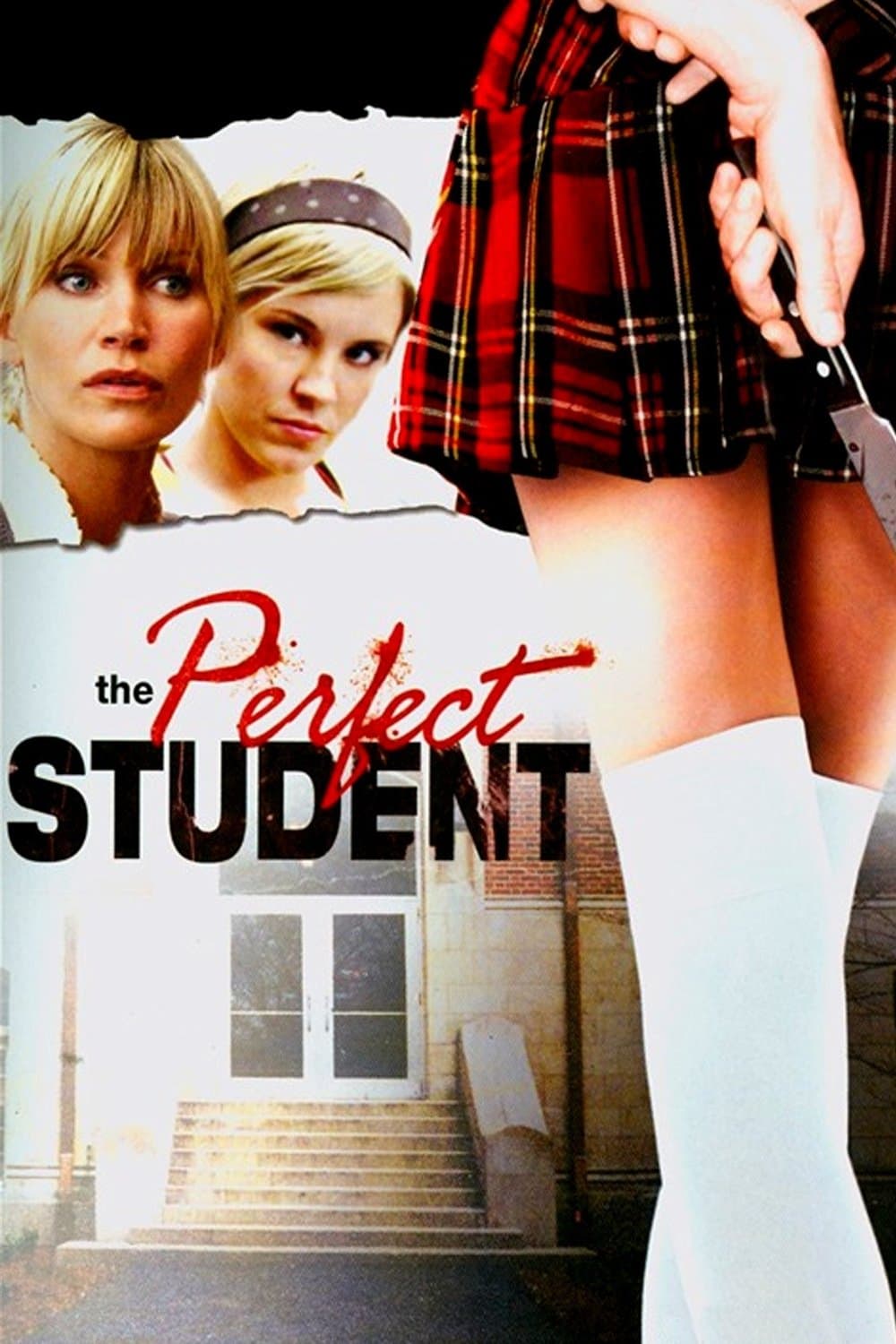 The Perfect Student