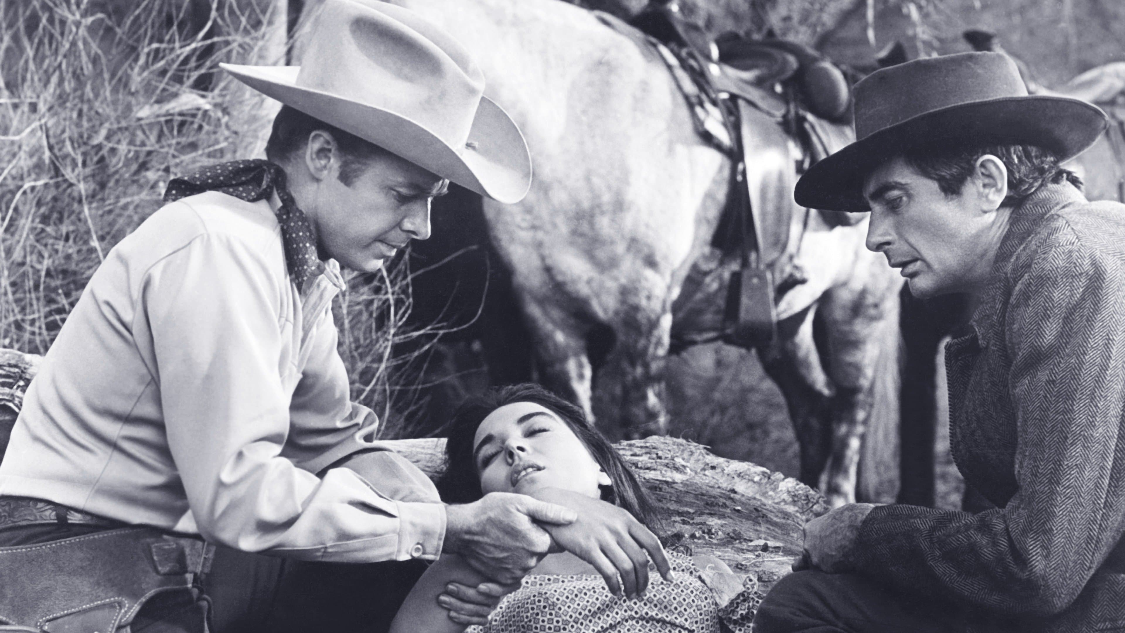 Forrest Lewis