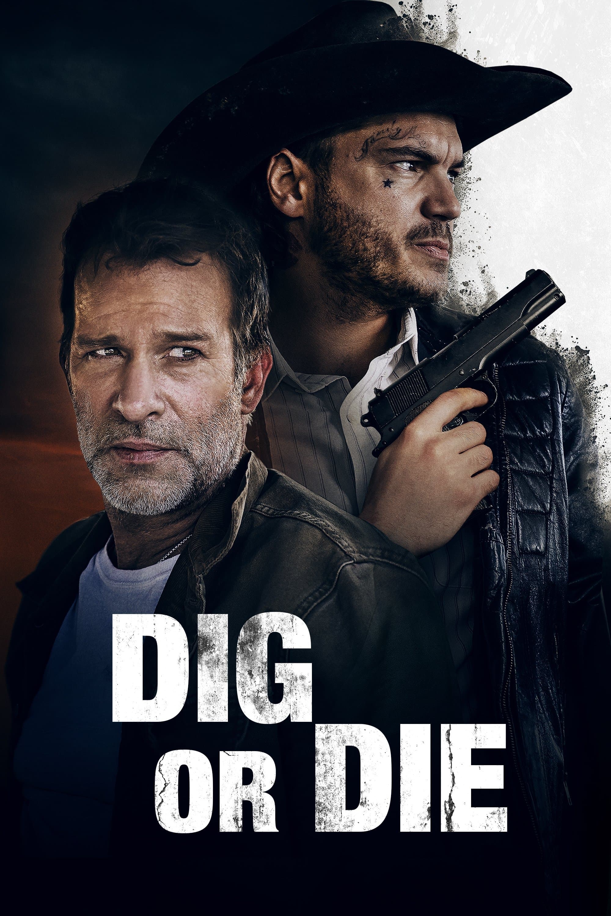 Dig