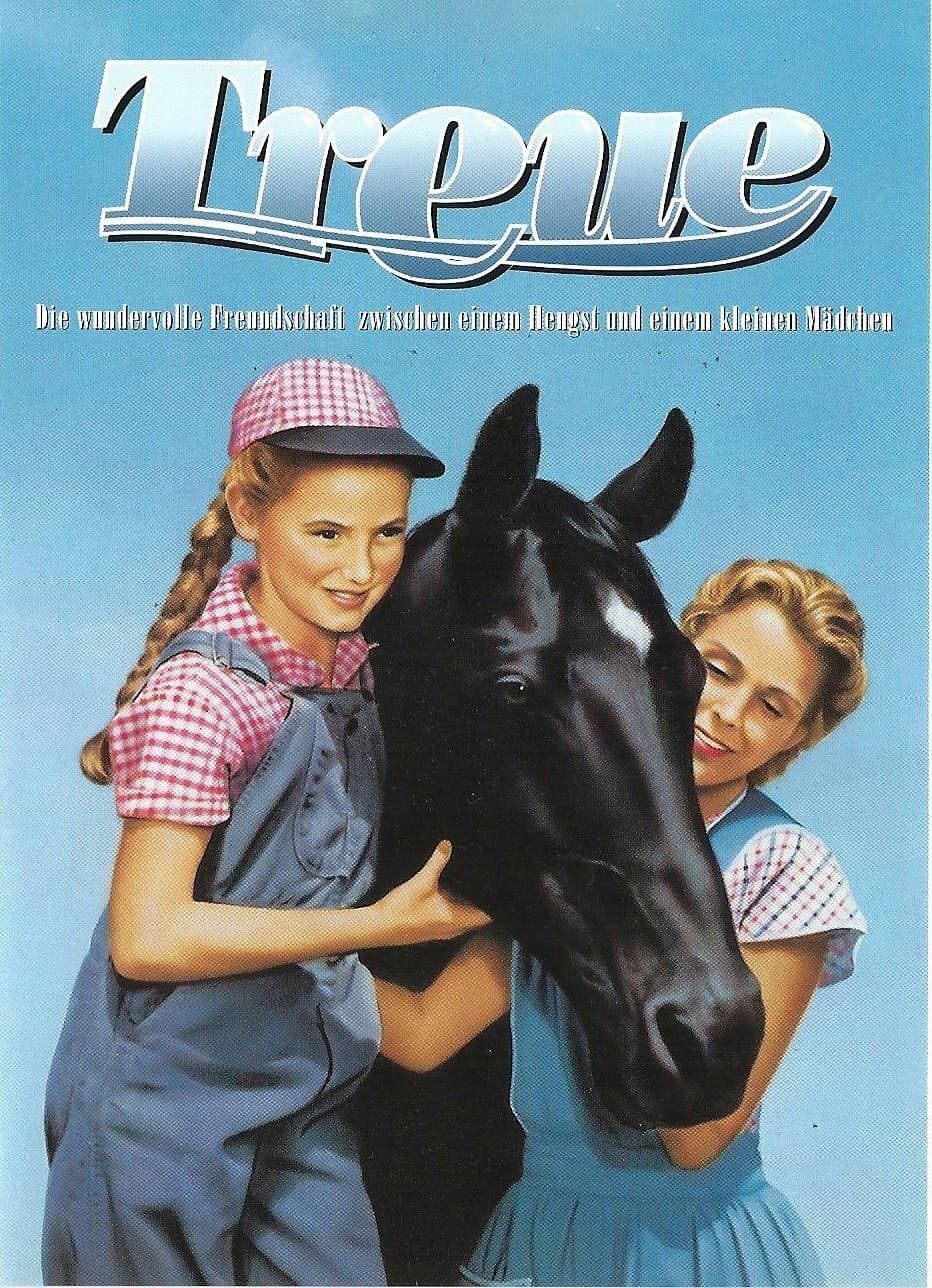 Gypsy Colt