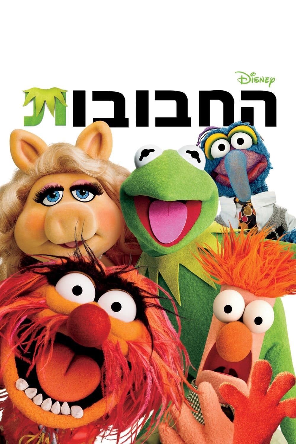 החבובות