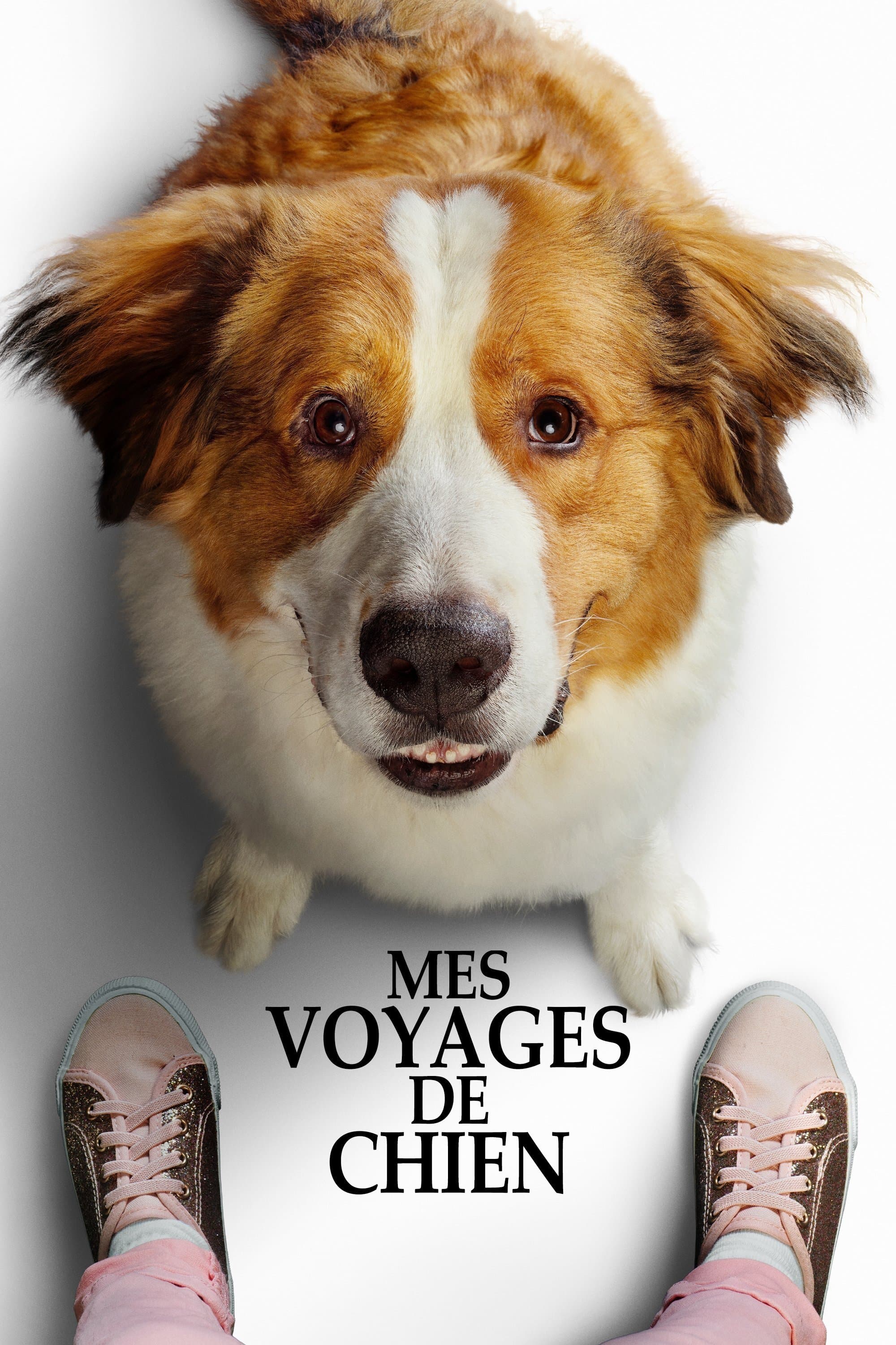 Mes Autres Vies de Chien
