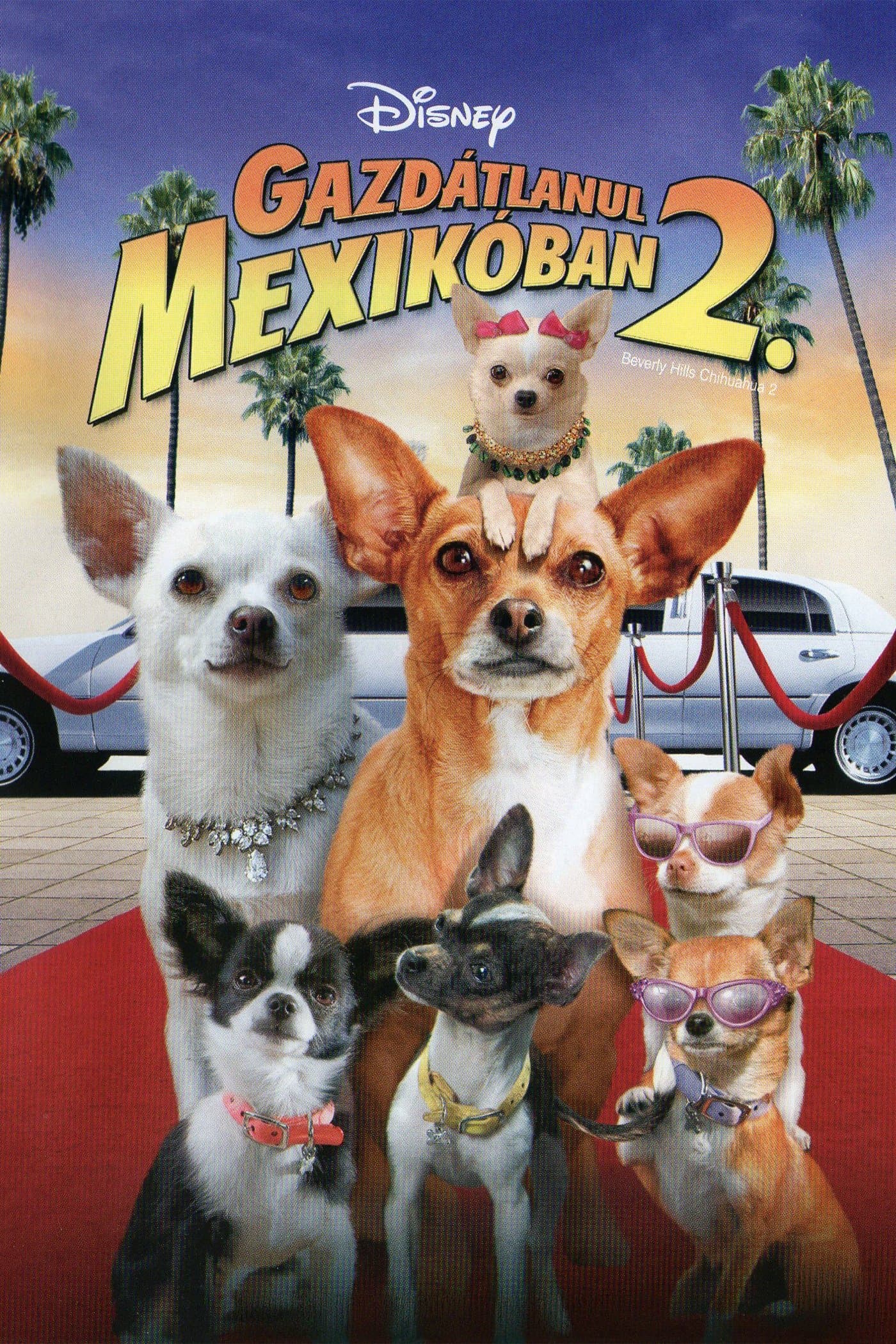 Gazdátlanul Mexikóban 2.