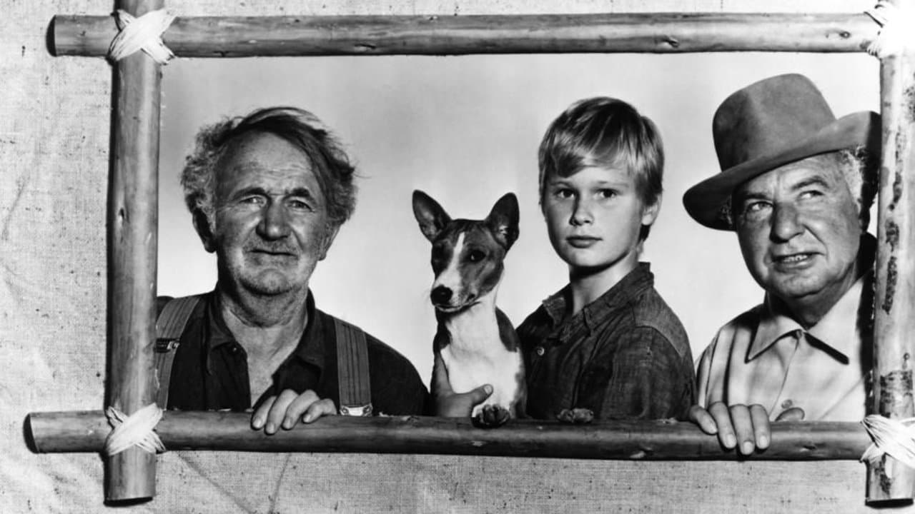 William Hopper