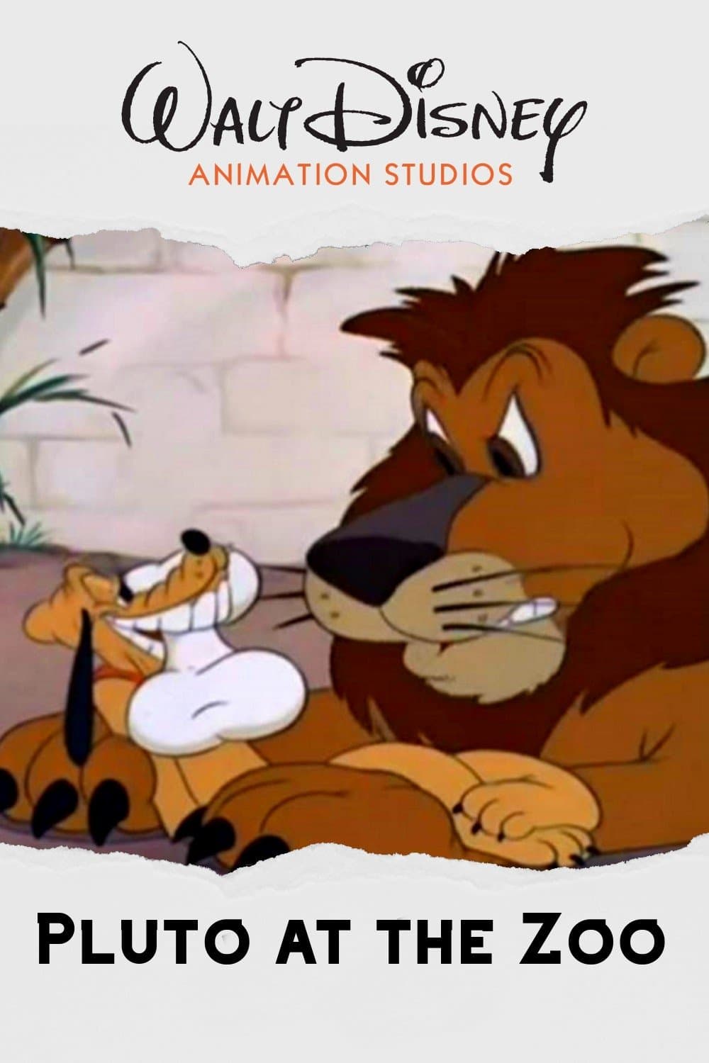 Pluto at the Zoo