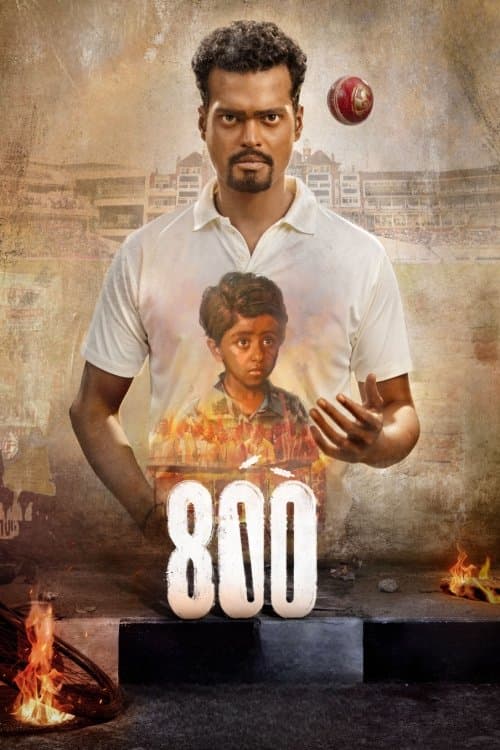 800