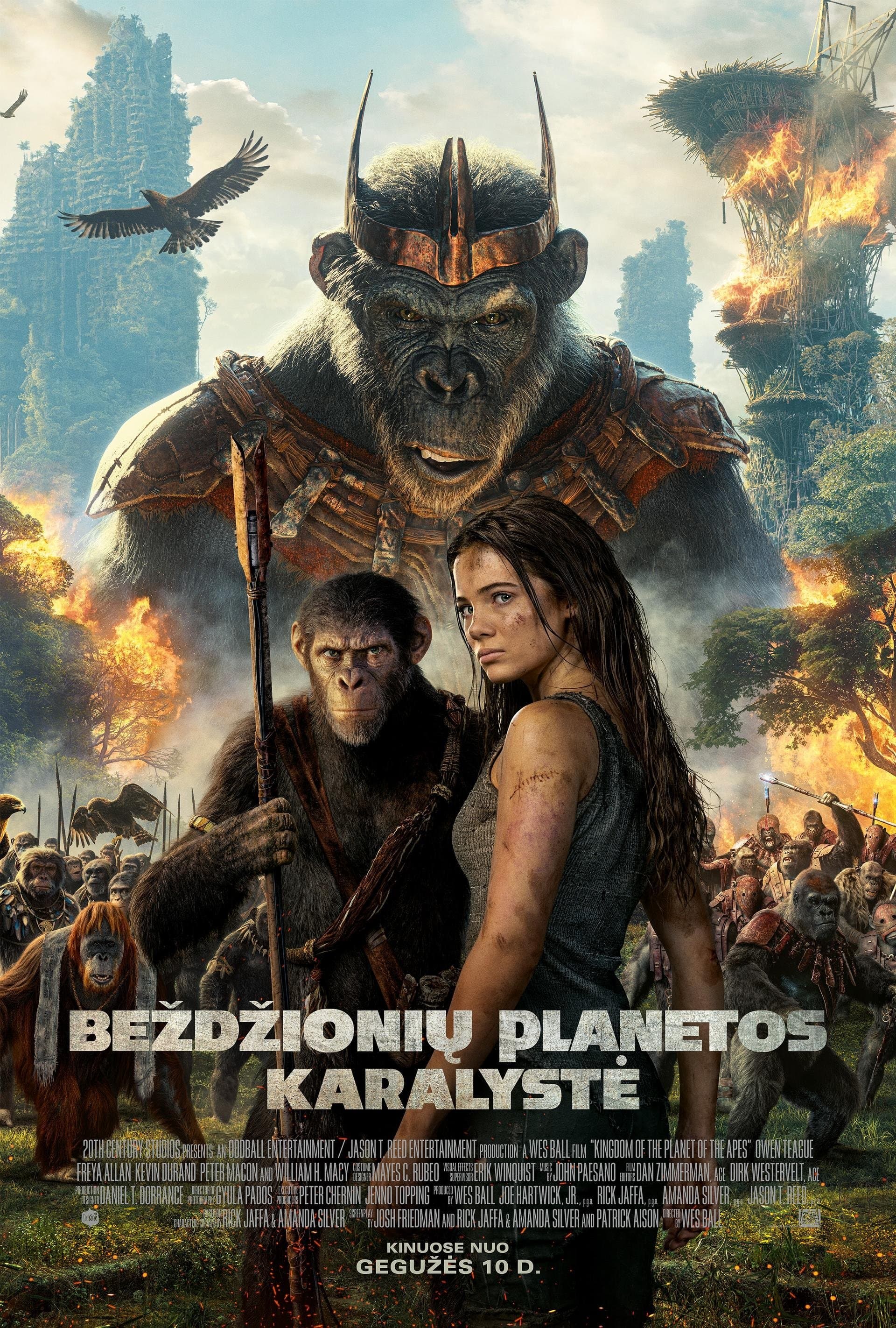 Beždžionių planetos karalystė