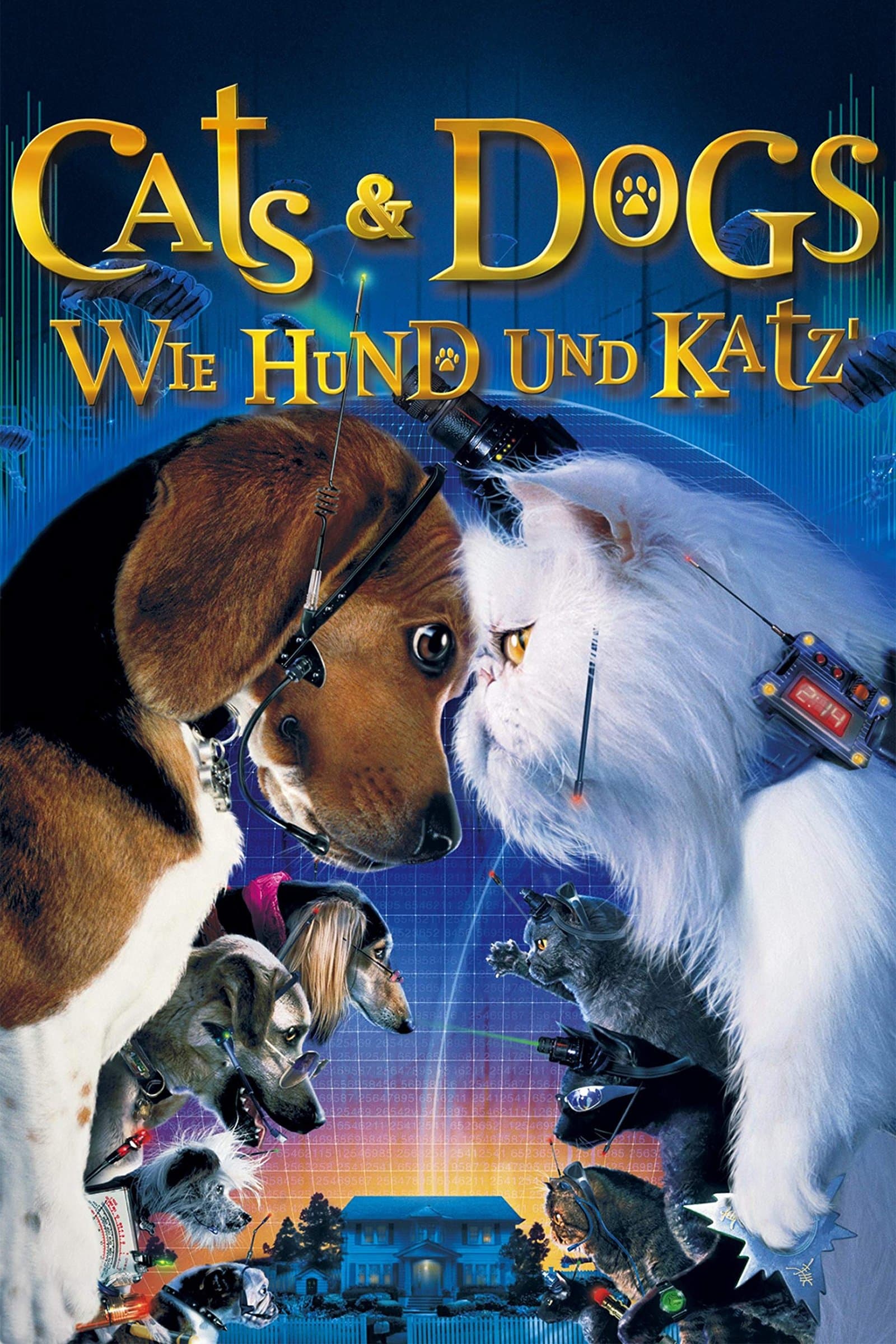 Cats & Dogs