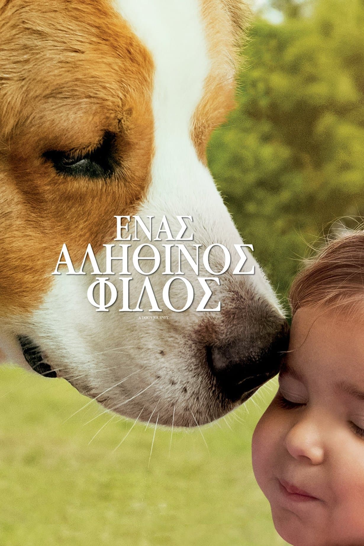 A Dog's Journey