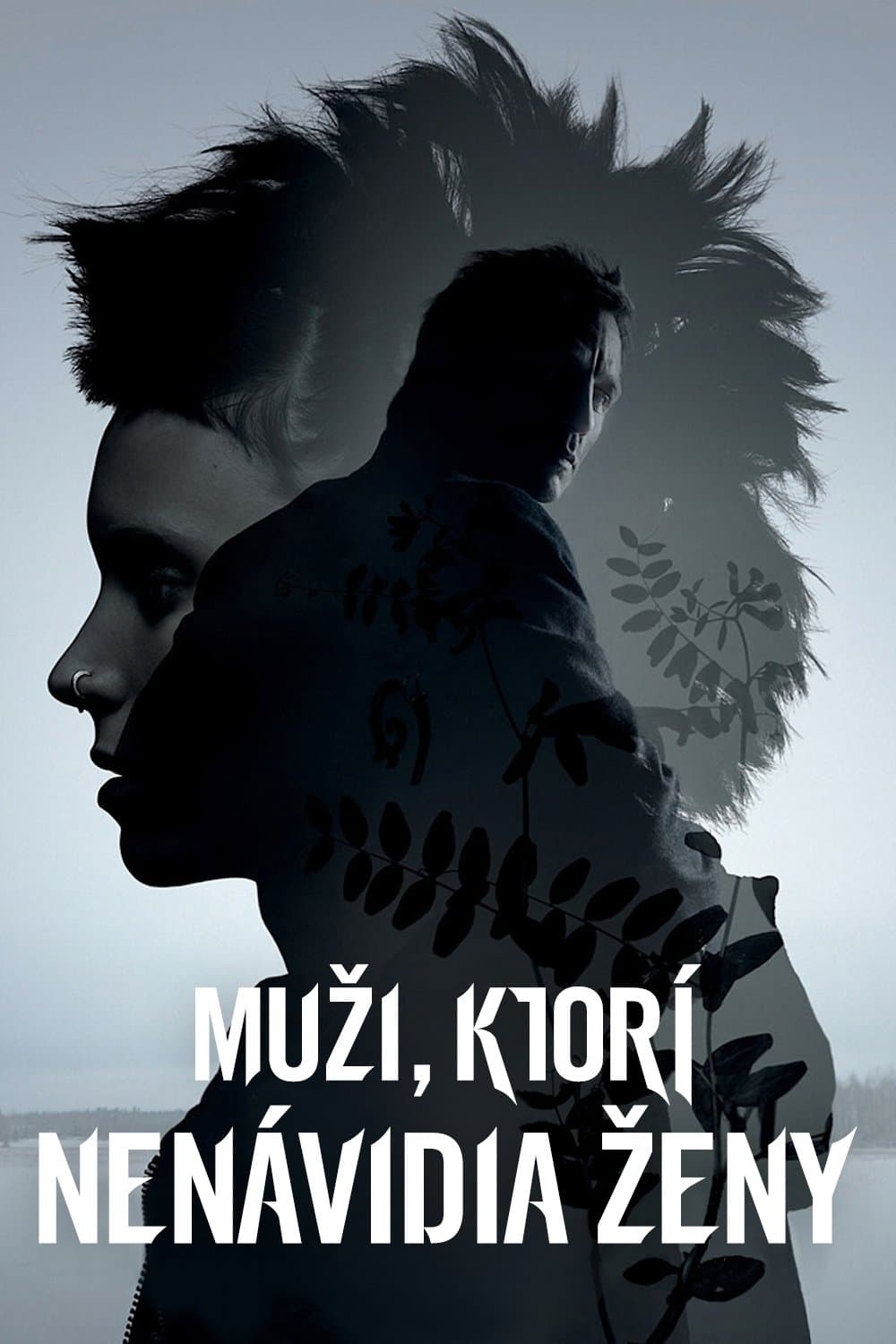 Muži, ktorí nenávidia ženy