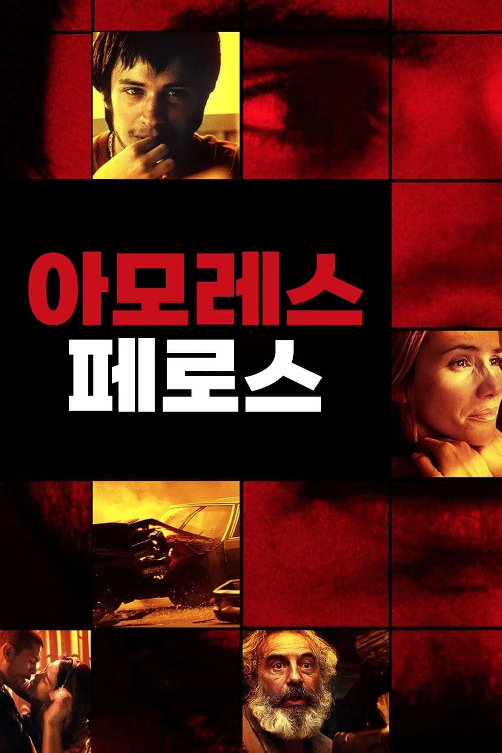 아모레스 페로스