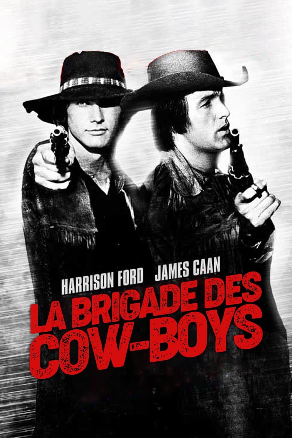 La brigade des cow-boys