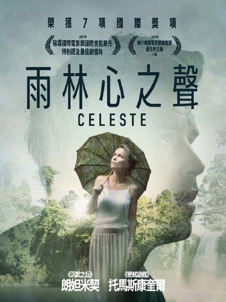 雨林心之聲