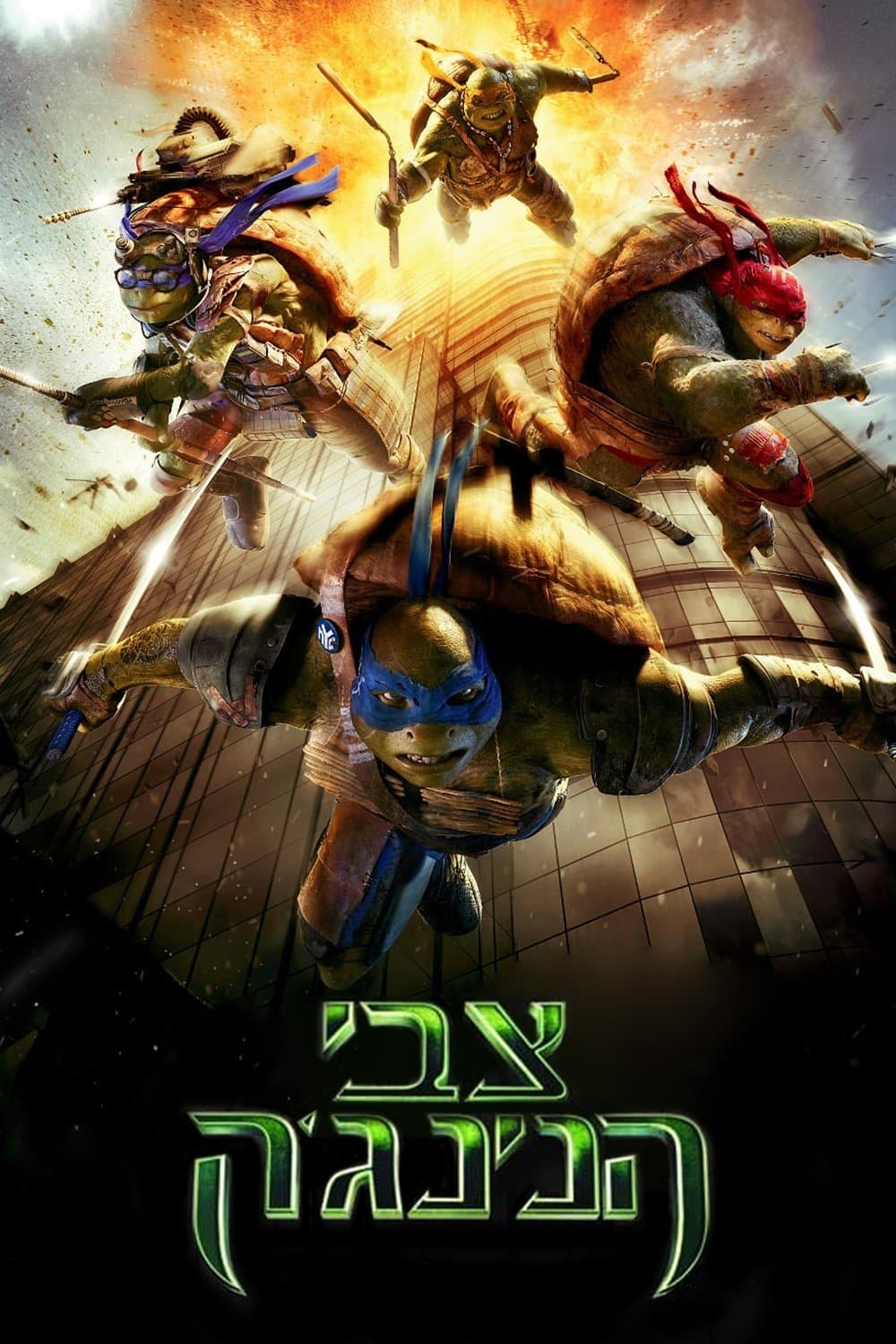 צבי הנינג'ה
