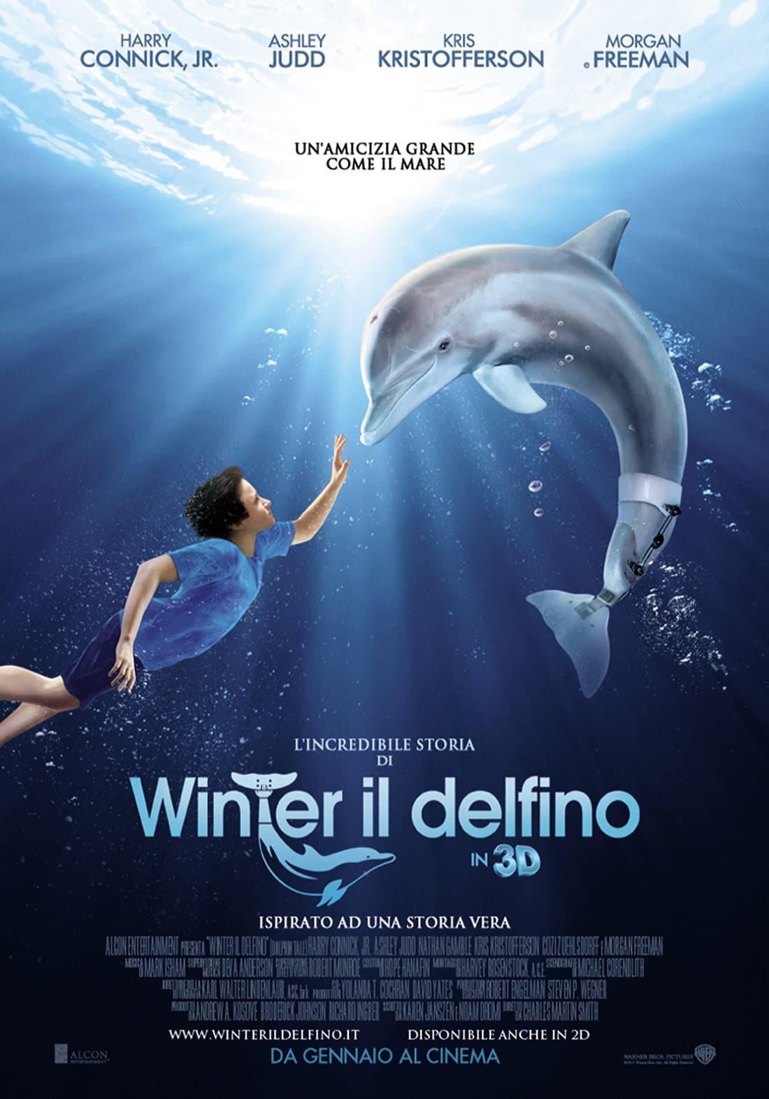 L'incredibile storia di Winter il delfino