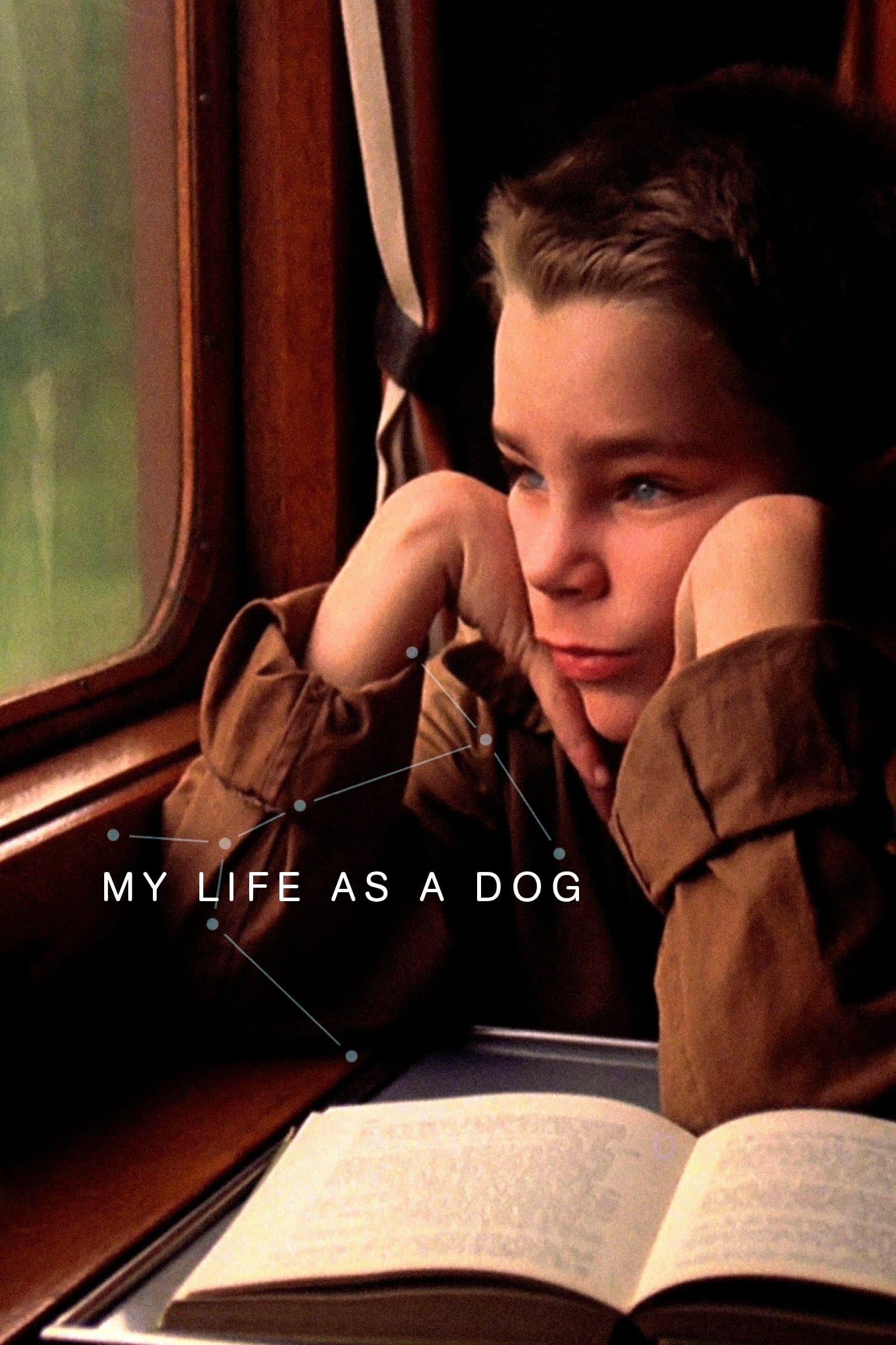 My Life as a Dog