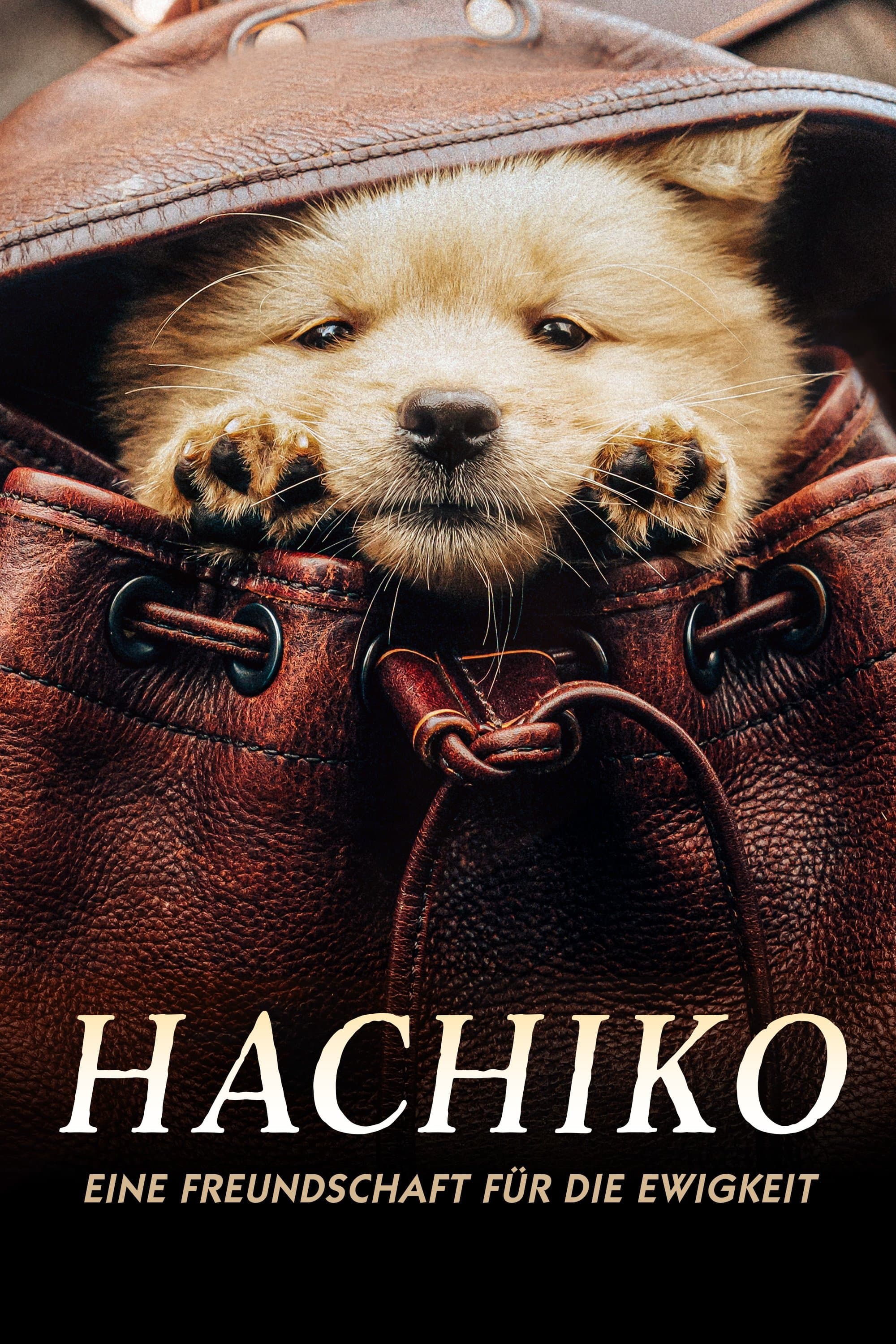 Hachiko