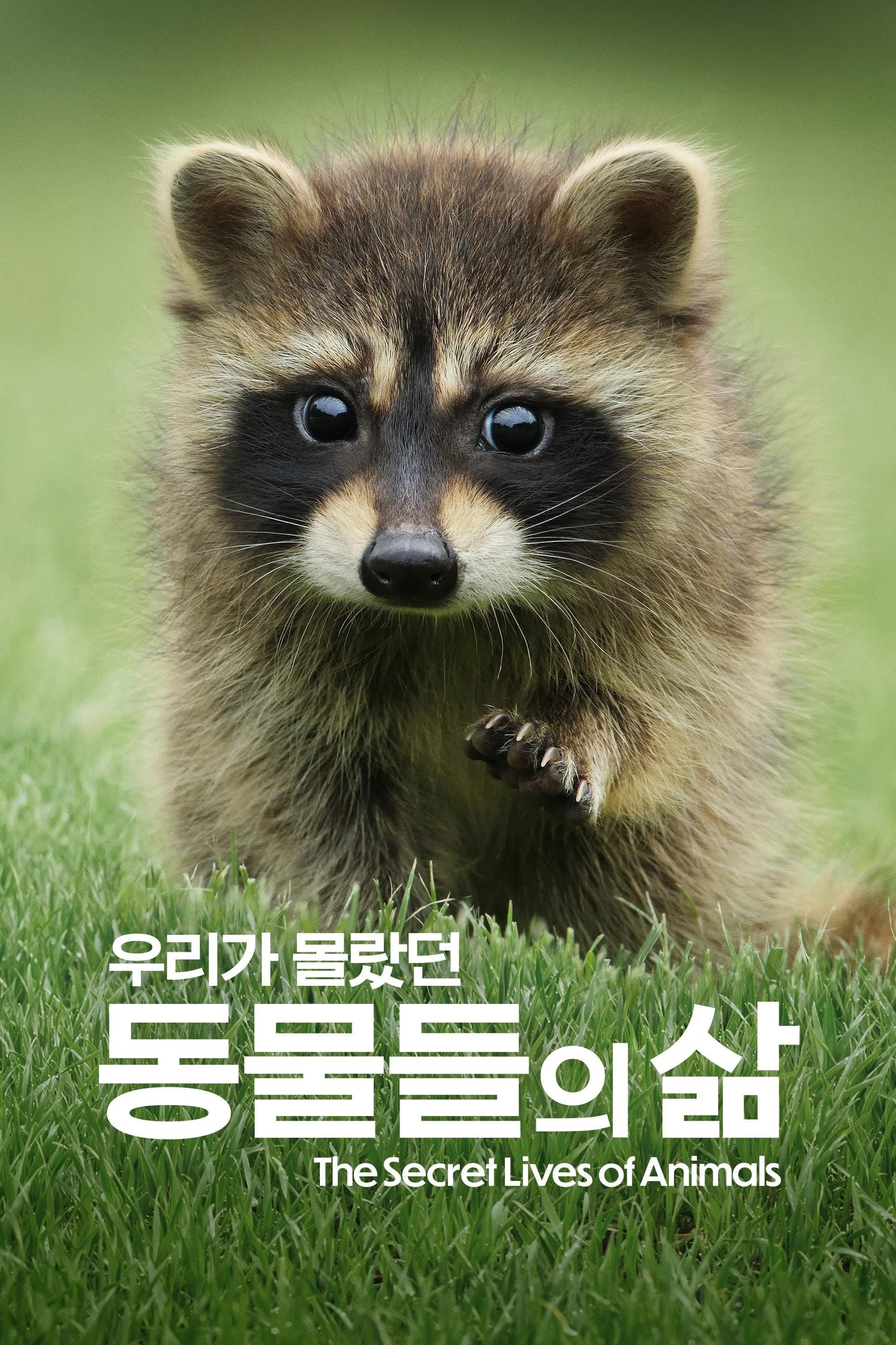 '우리가 몰랐던 동물들의 삶' - The Secret Lives of Animals