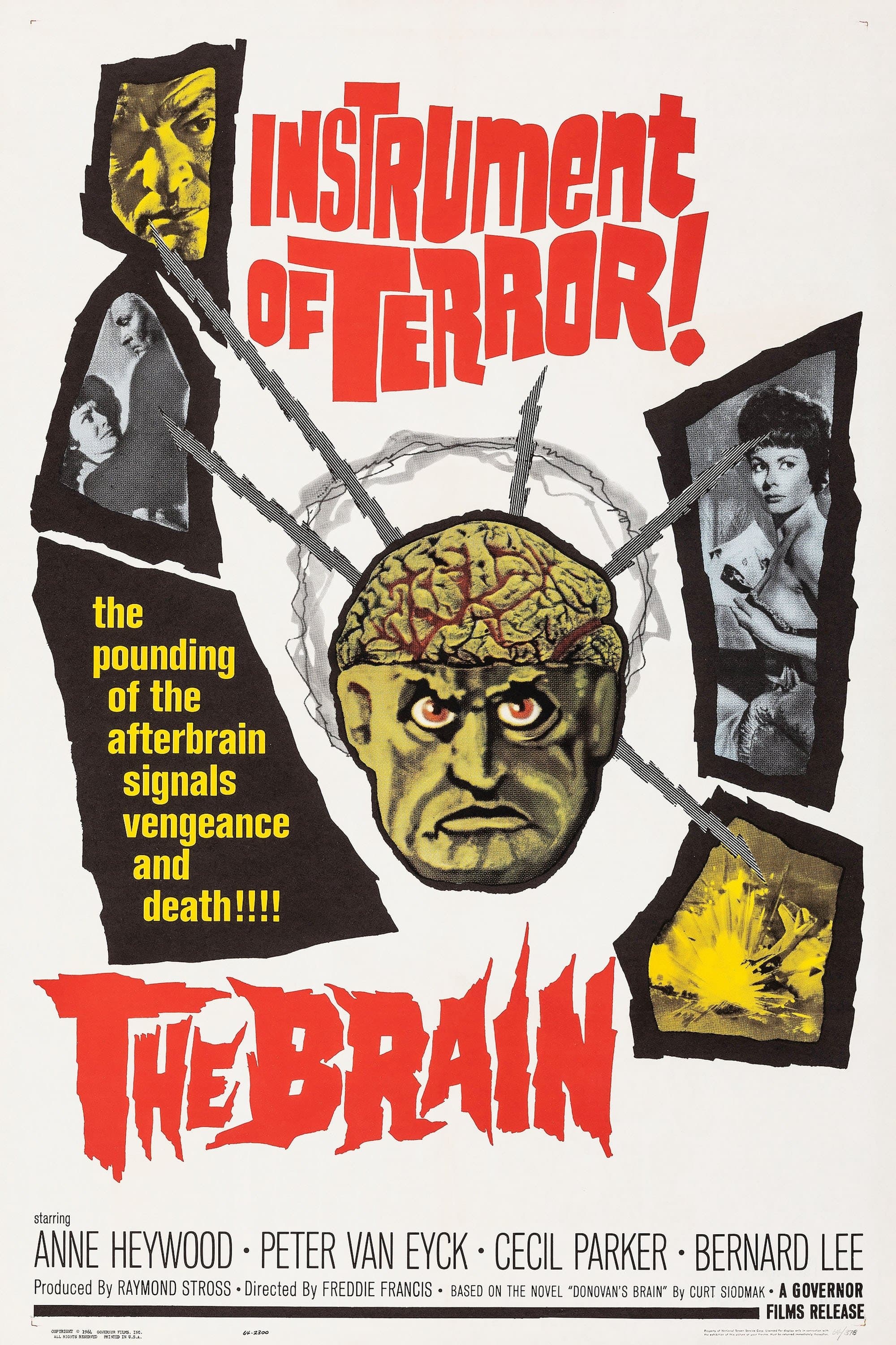 The Brain