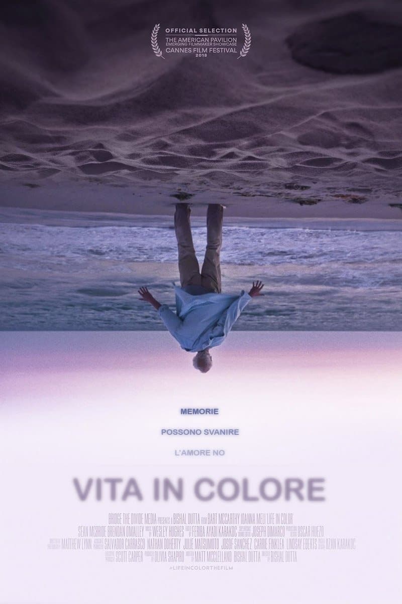 Vita in colore
